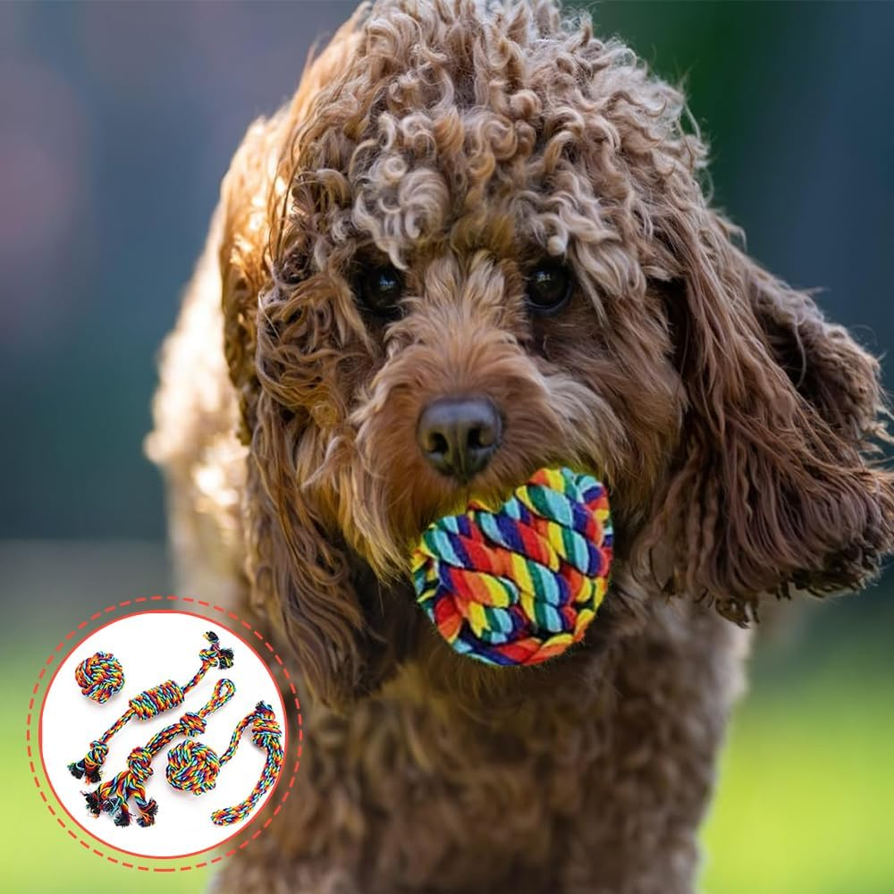 Dog Rope Toys 4 Pack, Dog Tug Toy, Colorful Braided Cotton Rope Dog Toy for Puppies Puppy Small Dog Teething Chew, Cleaning Pet'S Teeth during Playtime