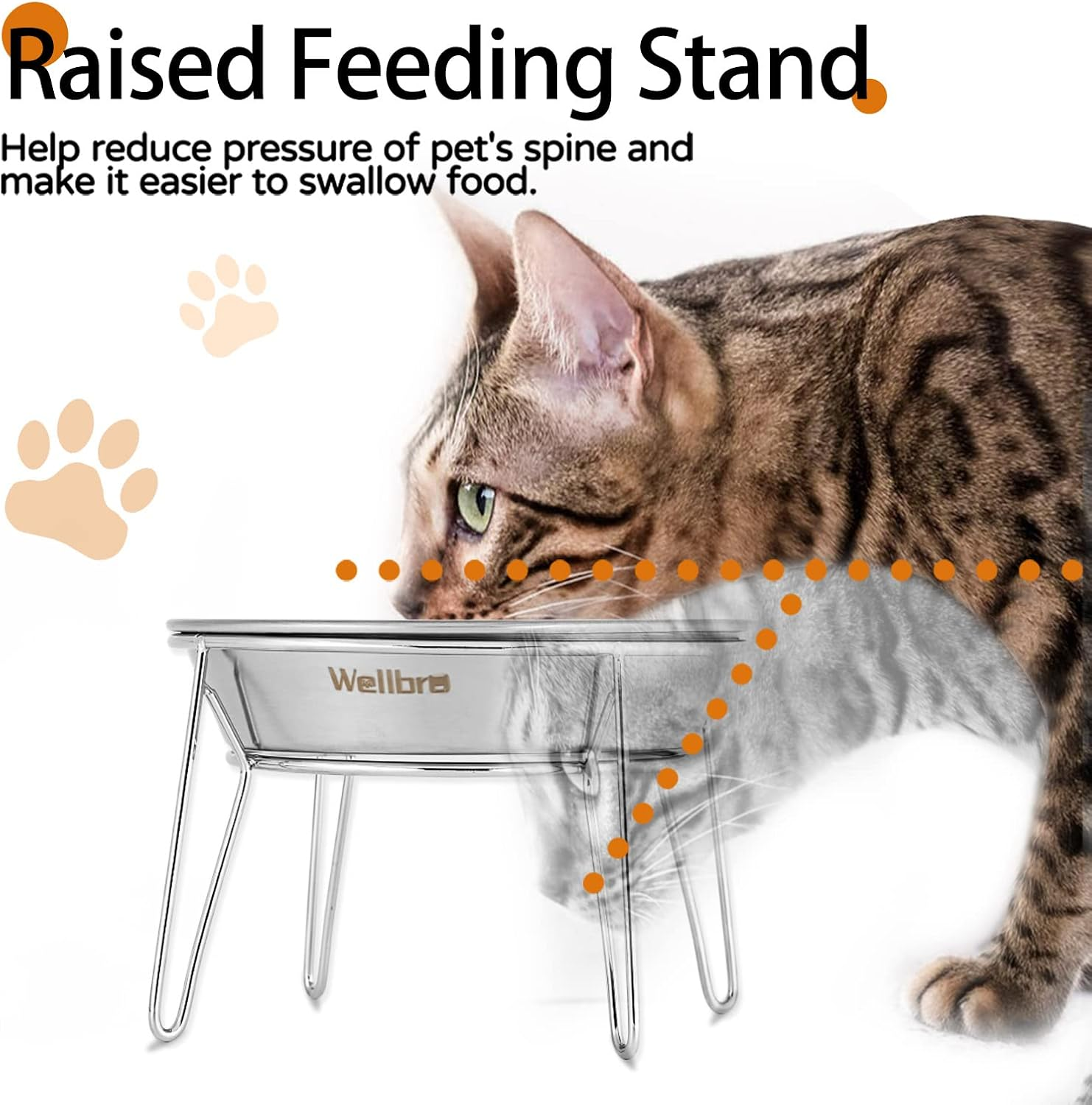 Wellbro Elevated Cat Bowls, 5.9 Inch Wide Stainless Steel Cat Food Bowls with Metal Stand Whisker Stress-Free, Raised Food and Water Dish for Cats, Kitten, Puppies and Small Dogs-2 Pack - Silver image number 2