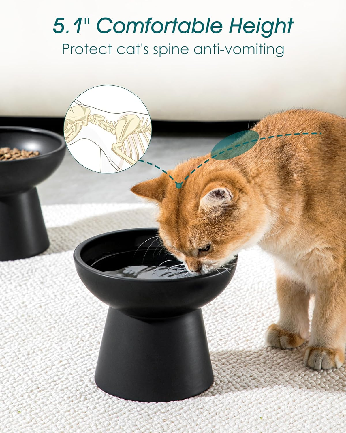 Vancasso Ceramic Elevated Cat Bowls 2-Pack - 6.2" Extra Wide Raised Cat Food & Water Dishes, 5.1" Optimal Height Anti-Whisker Fatigue Shallow Bowls for Cats/Kittens/Dogs, Lead & Cadmium Free (Black) image number 3