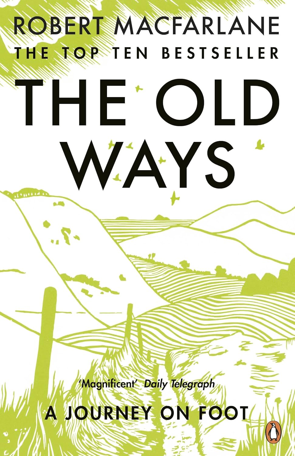 The Old Ways: a Journey on Foot image number 2