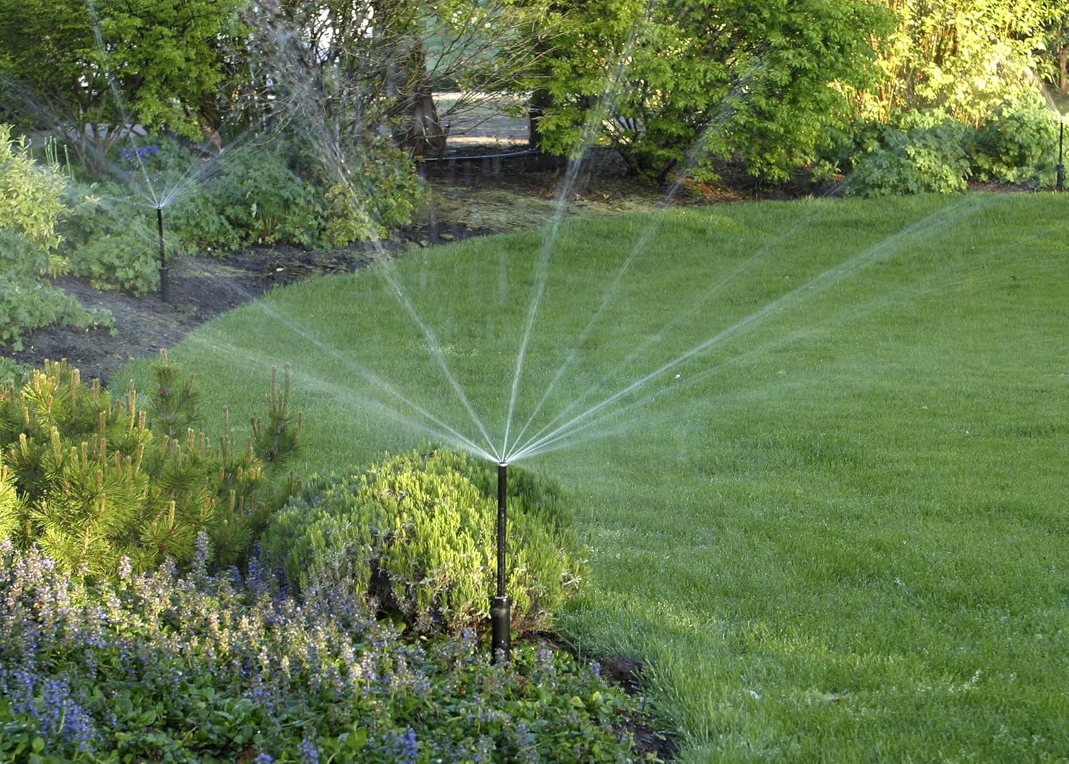 HUNTER Sprinkler MP100090 MP Rotator Adjustable from 90 Degrees to 210 Degrees image number 1