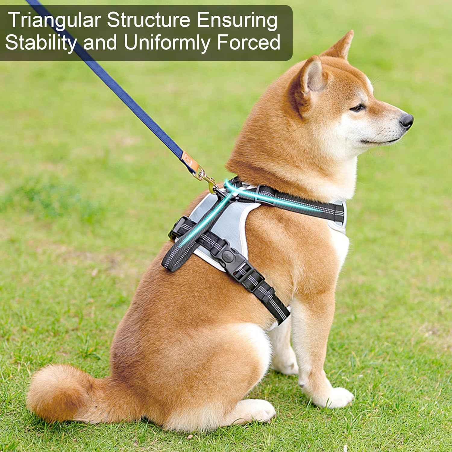 Dog Harness for Medium and Large Dogs, Anti-Pull Chest Harness, Adjustable, No Pull Safety Harness for Daily Training, Walking, Running image number 4