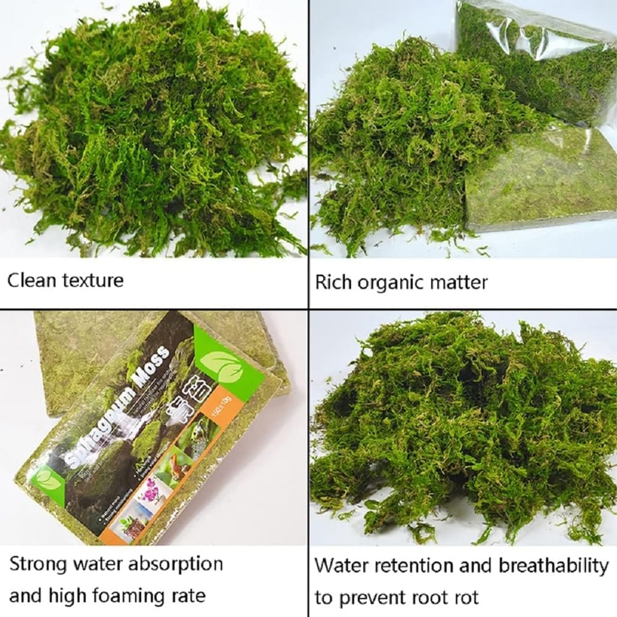 AIMALL Compressed Natural Moss Mat 8.27X4.92 Inch Moisturising Substrate Pad for Tortoise Snake Lizard Reptile Terrarium Bedding Organic Breathable Soil Cover image number 4