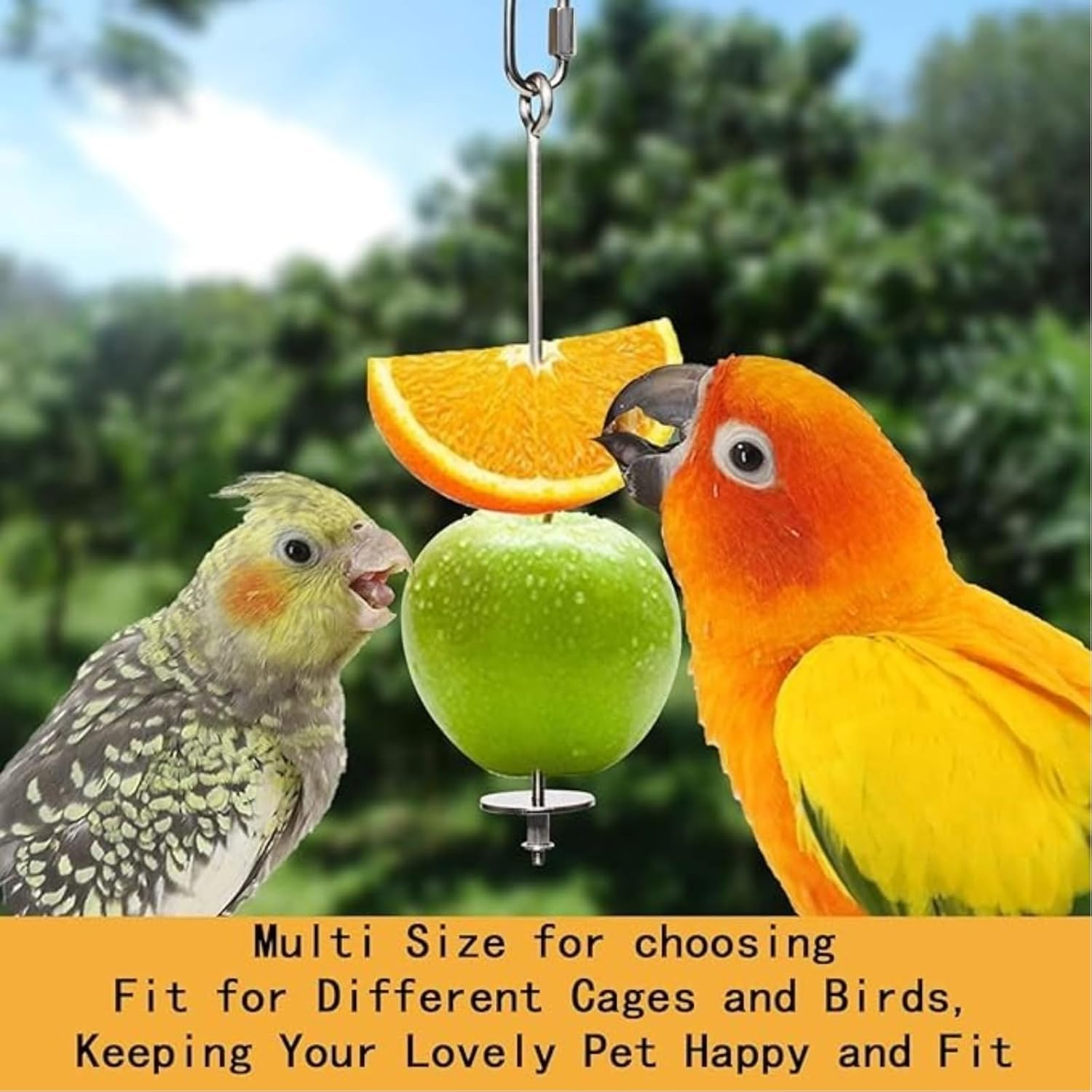 Kalione 2 Pcs Hanging Bird Treat Skewer and Bird Fruit Skewer Stainless Steel Holder for Birds Cage Accessories, Parakeet Treats Holder,Treat Skewers,Birds Fruit Feeder and Foraging Toys image number 1