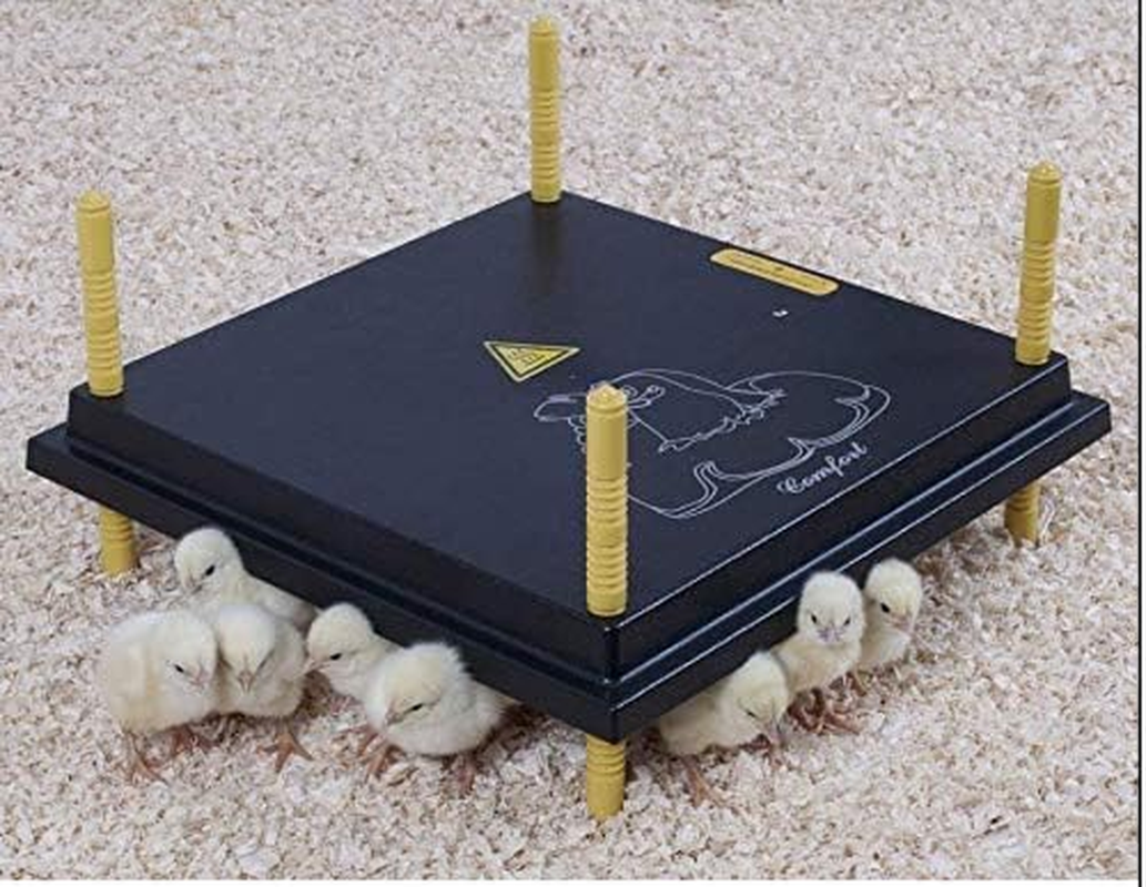 Chick Brooder for Upto 20 Chicks - Replacement Heat Lamp - Energy Saving