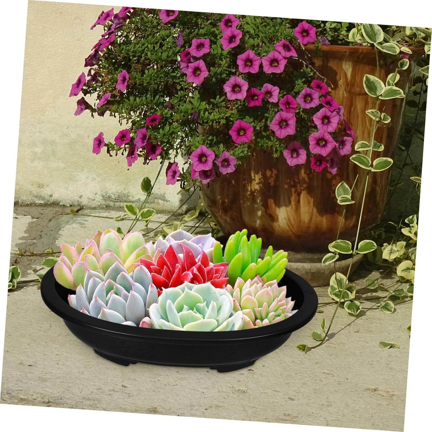 PAMINGONO 4Pcs Oval Drainage Bonsai Flower Pots Modern for Home Office Gardening for and Cacti Space-Saving Design Bottom Drainage image number 2