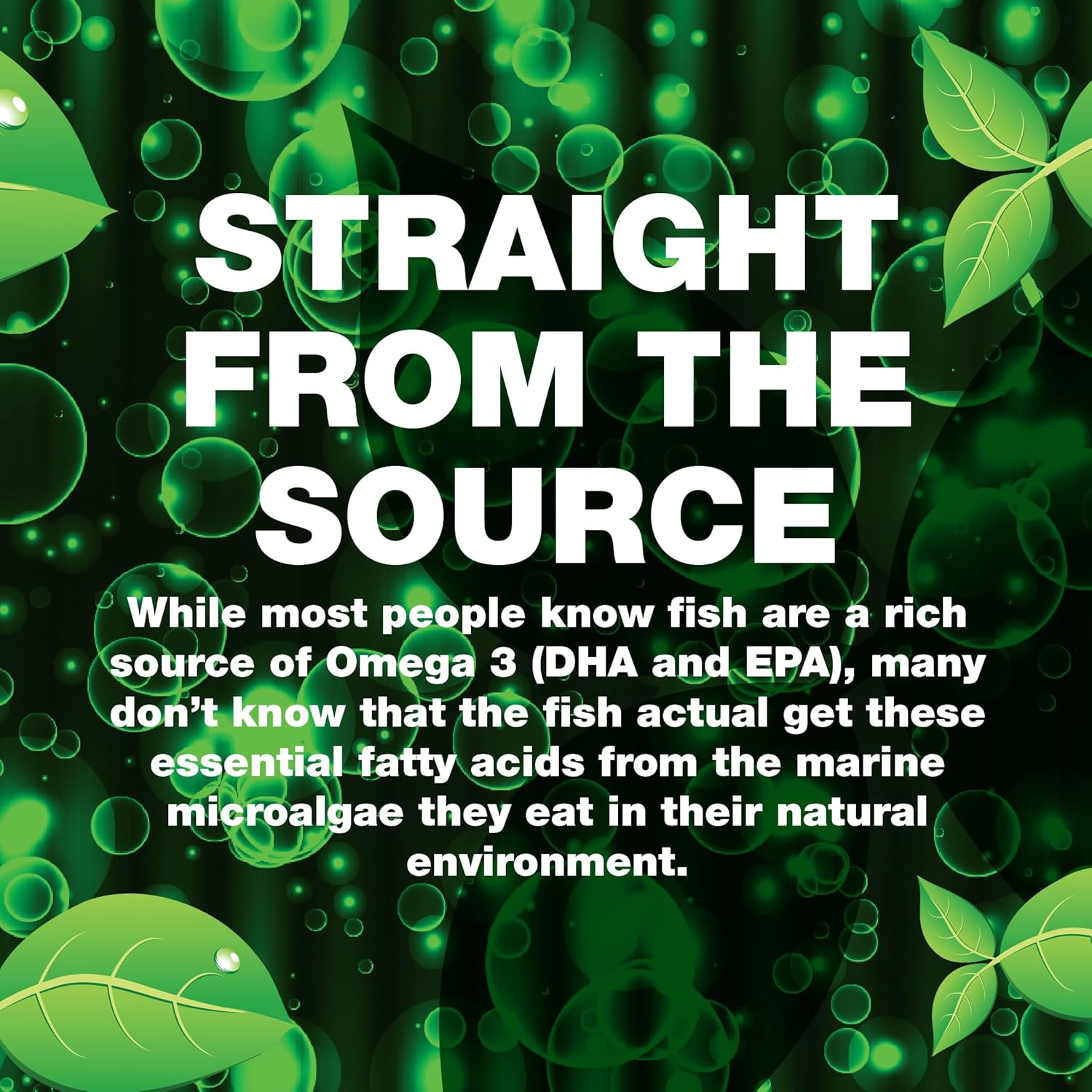 Green Nutritionals Vegan Omega3 30 Capsules - Vegan Vegetarian Friendly image number 4