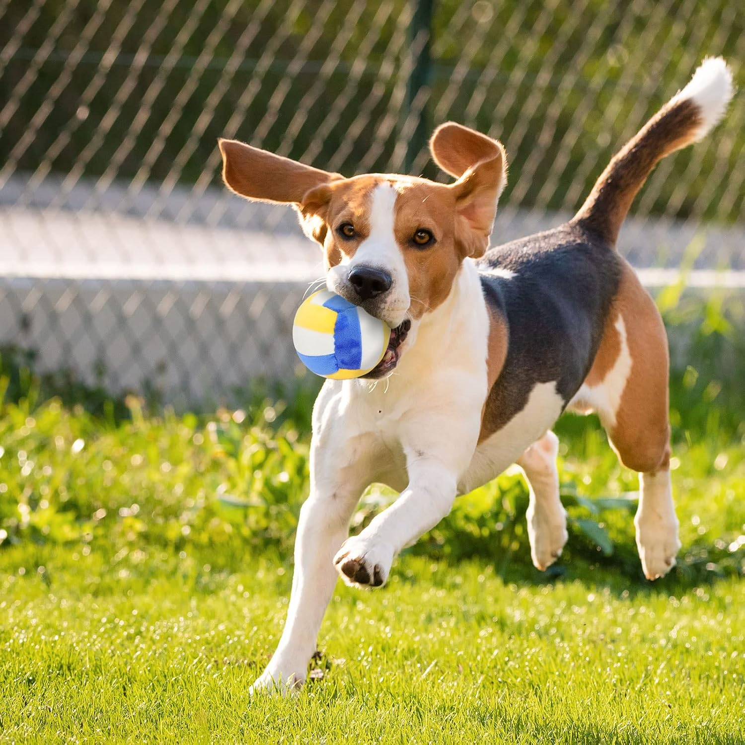 Interactive Dog Balls, 2 Pack Plush Squeaky Dog Toys Balls for Dogs, Football Volleyball Dog Toy Ball Indoor Outdoor Sports Stuffed Puppy Toy for Small Medium Dog(Football+Volleyball) image number 4