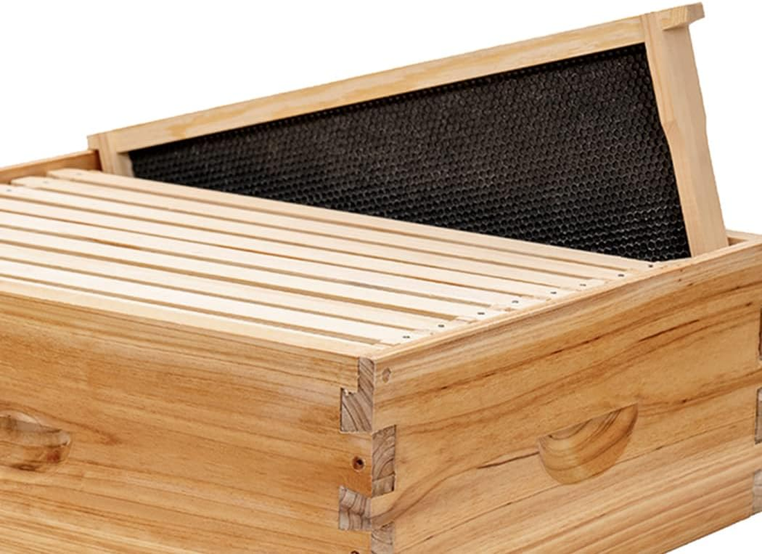 Medium Super Beehive Frames with Wax Foundations,10 Pack Honey Bee Frames with 100% Beeswax Coated Food Grade Foundation Sheets, 6-1/4-Inch (Black) - Yellow image number 1