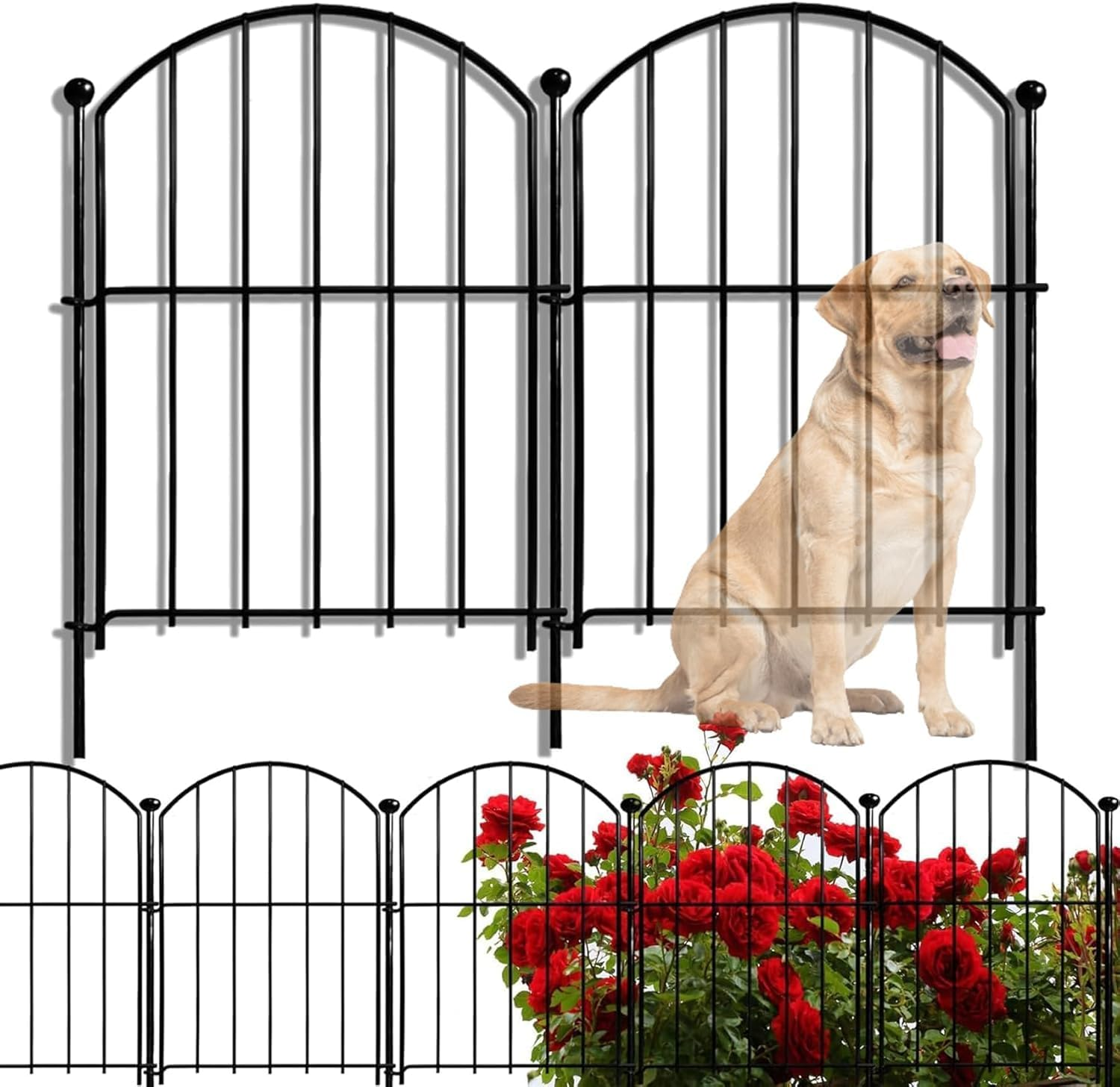 Phoselpida Decorative Garden Fence, 10 Pack Rustproof Metal No Dig Fence Animal Barrier for Dog, Arched Flower Bed Edging Ornamental Wire Border Panel Fencing for Yard Patio Outdoor Decor, 42 * 32Cm image number 4
