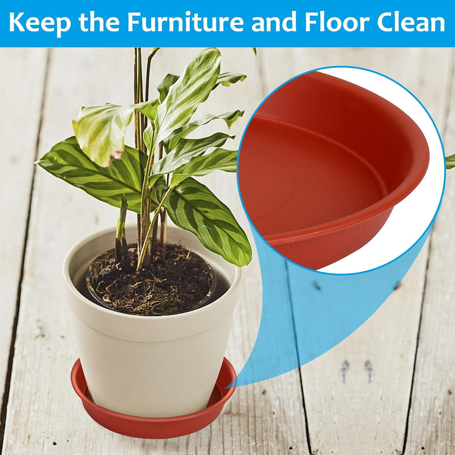 Tstarjungle 6 Pack Plant Saucers, Flower Pot Drip Trays for Indoor/Outdoor Plants Garden Saucers Plant Pot Saucer Trays, Surface Protection for Household Plants - 16Cm image number 4