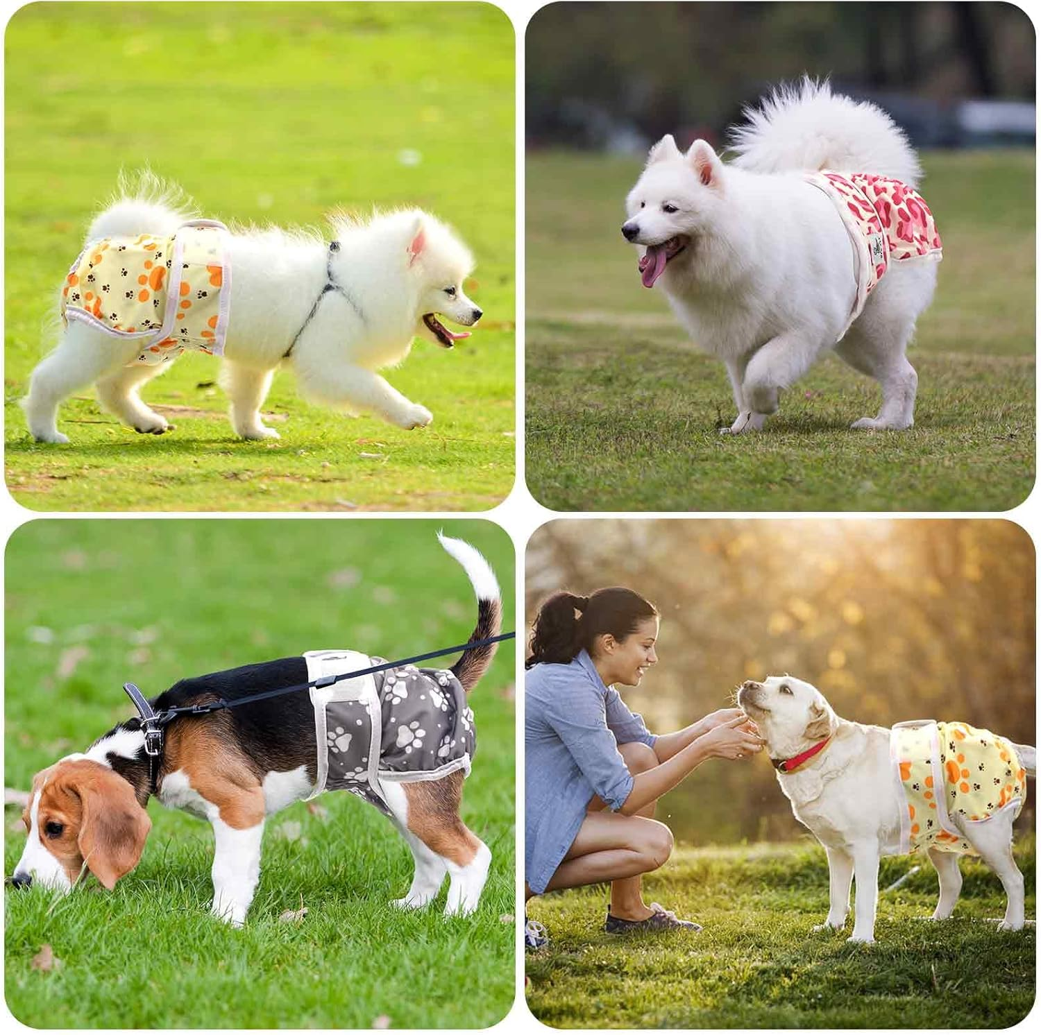 UFO PET Dog Nappies Female Small 3 Pack, Dog Period Heat Pants in Season, Super Absorbent & Adjustable Sanitary Reusable Doggy Puppy Diapers image number 1