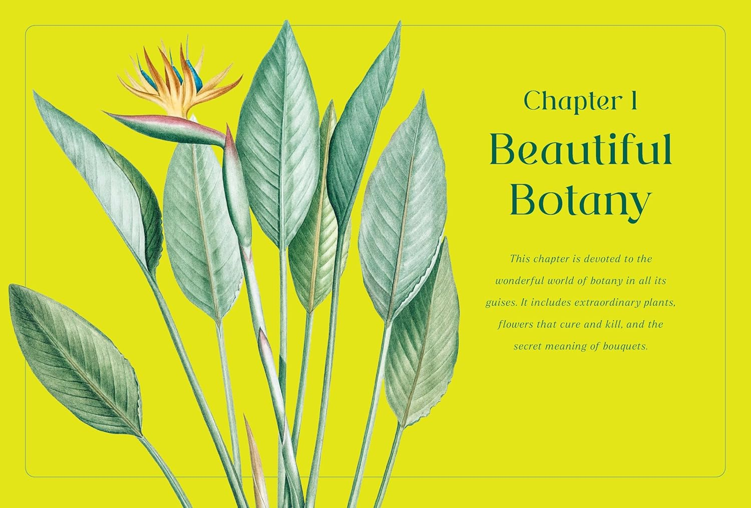 Horti-Curious: a Gardener&rsquo;S Miscellany of Fascinating Facts and Remarkable Plants image number 3