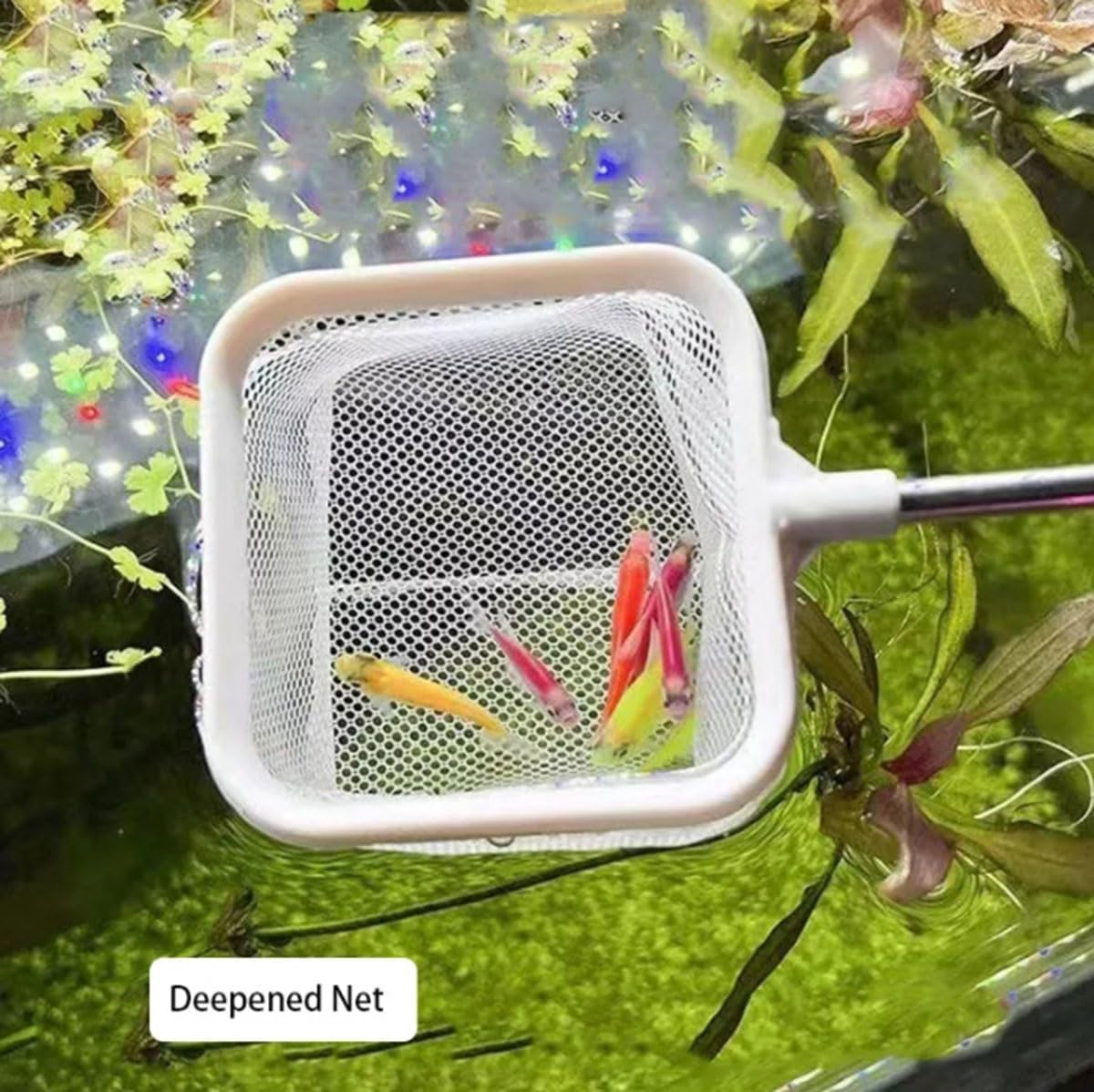 Mini Aquarium Square Fishing Net with Suction Cup Extendable Long Handle Fishing Gear for Catching Fish Shrimp Tank Clean Accessories image number 3