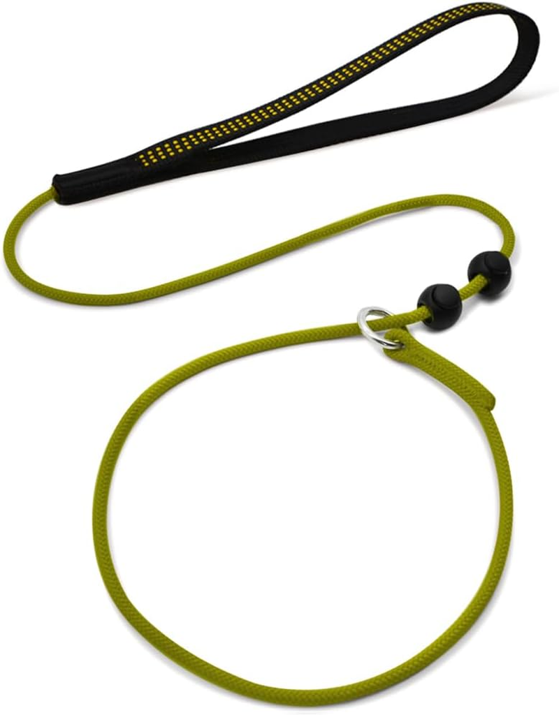 Beaugo Slip Leads for Dogs,Top Speed Training Dog Leash,2-In-1 Slip Collar Dog Training Lead & Collar,5Ft Thin Slip Lead,Sturdyand Durable, Leash Suitable for Small, Medium, and Large Dogs(Dark Green image number 6