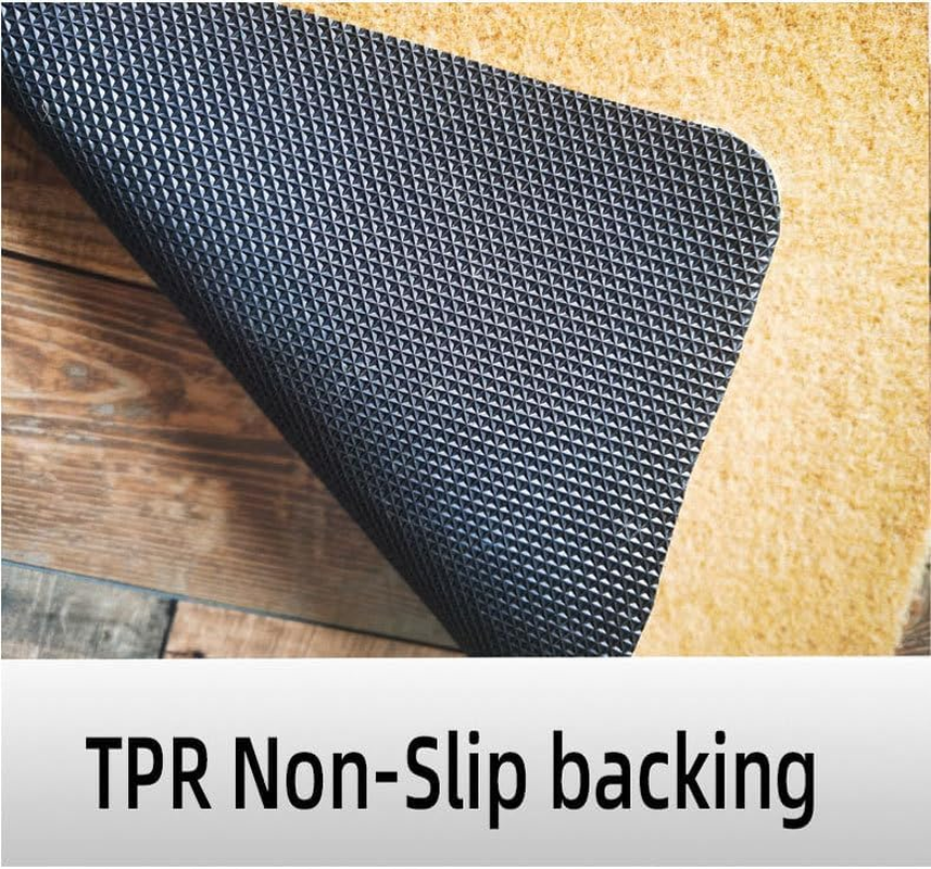 Take off Your Shoes Outdoor Mats for Front Door, Non-Slip Low Pile Outdoor Doormat Faux Coconut Coir Heavy Duty Outdoor Mats for Front Door (Take off Your Shoes, 45Cm X 70Cm) image number 1