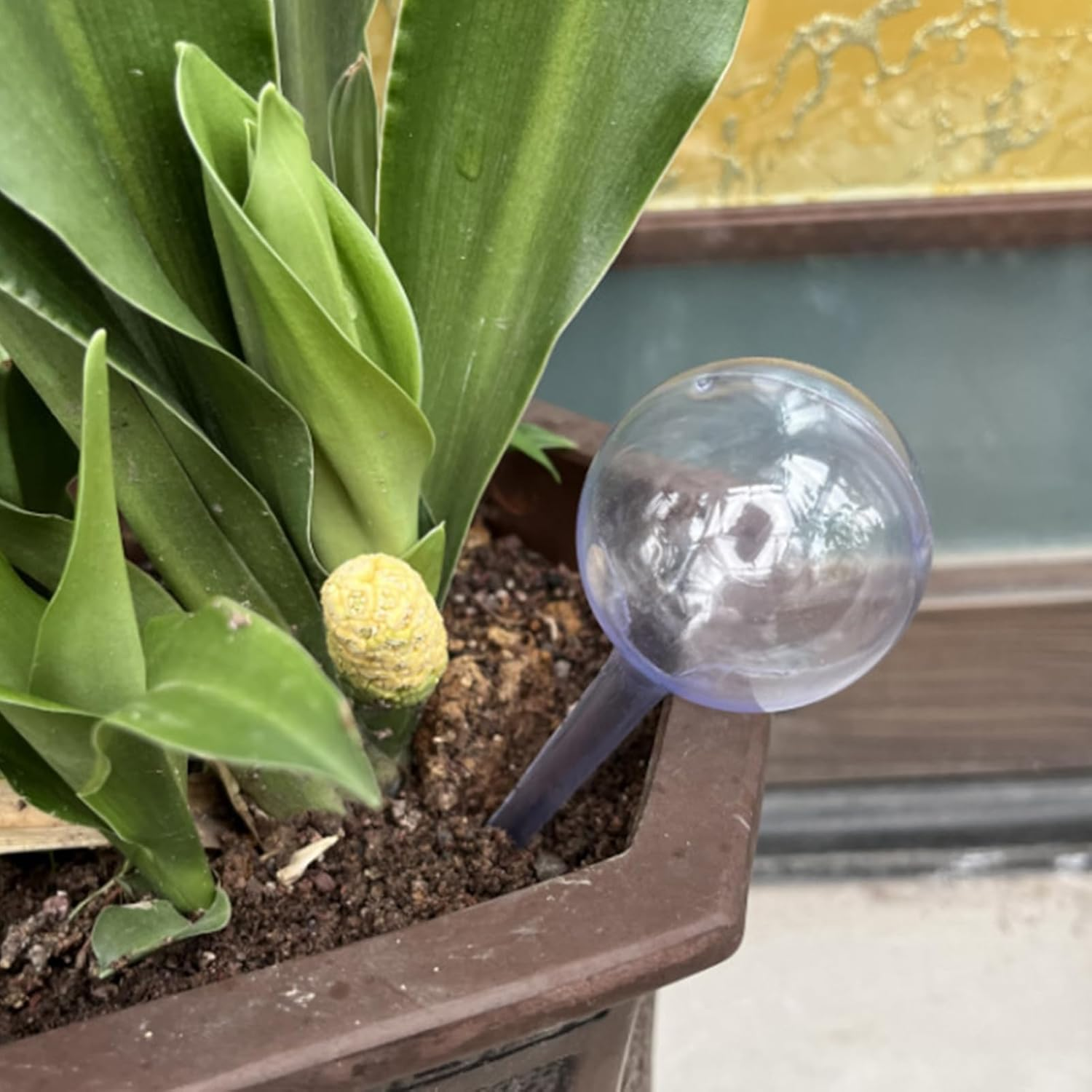 Plant Watering Globes - Watering Clear Watering Bulb - Gardening Supplies, Multifunctional Decorative Irrigation Tools for Indoor Outdoor Garden Potted image number 1