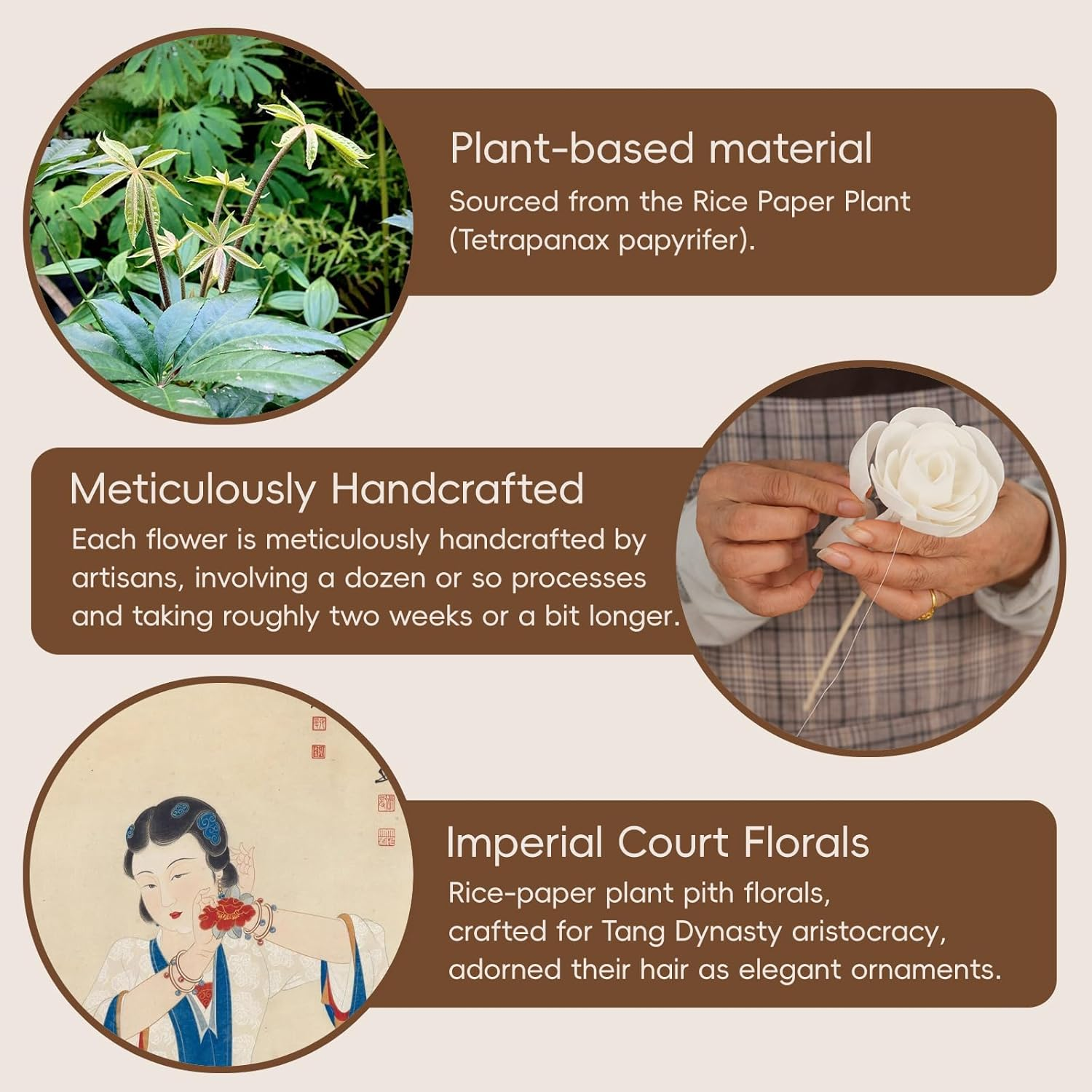 Reed Diffuser Sticks, 12Pcs Natural Flower, White Paper Core Material, Perfect for Living Room, Kitchen, Bedroom, Decor image number 6