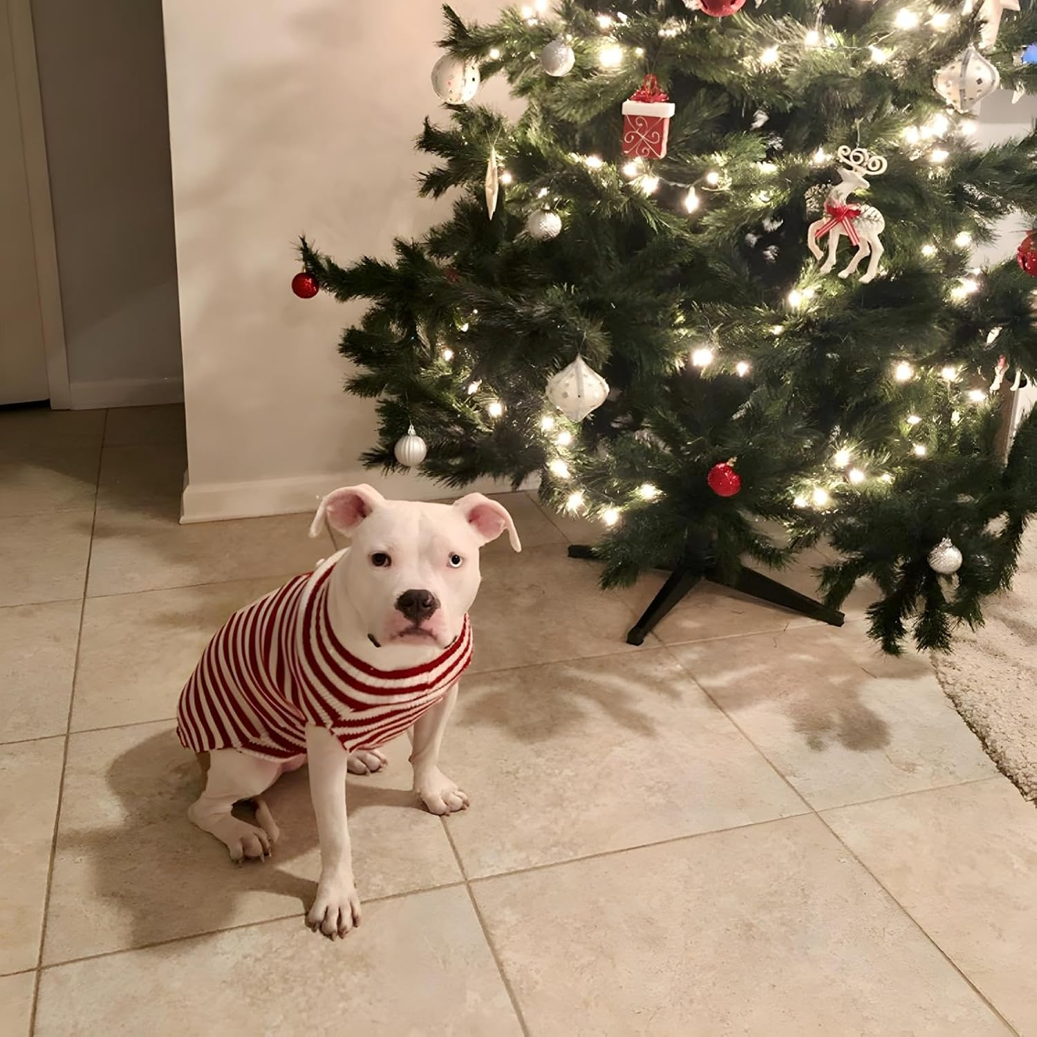 NACOCO Santa Claus Pet Sweater Dog Sweaters Cold Weather Outfit for Small to Medium Sized Dogs and Cats for Christmas Day (Medium) image number 4