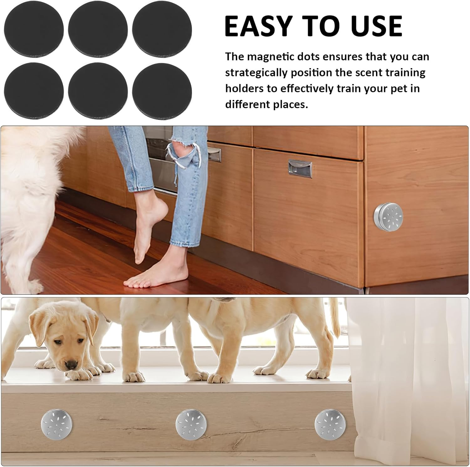 Mipcase Pack of 10 Dog Fragrance Training Box: Dog Fragrance Holder Dog Nose Metal Container Aluminium Agility Training Equipment Dog Fragrance Work Cans with Magnetic Dots