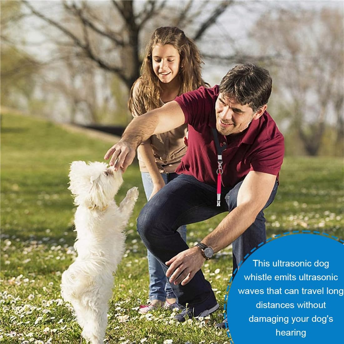 Pack of 2 Dog Whistles, Professional Ultrasonic Whistle, Ultrasonic Dog Whistle, Dog Whistle with Lanyard, Adjustable High Frequency Dog Accessories, for Stop Barking and Dog Training image number 2