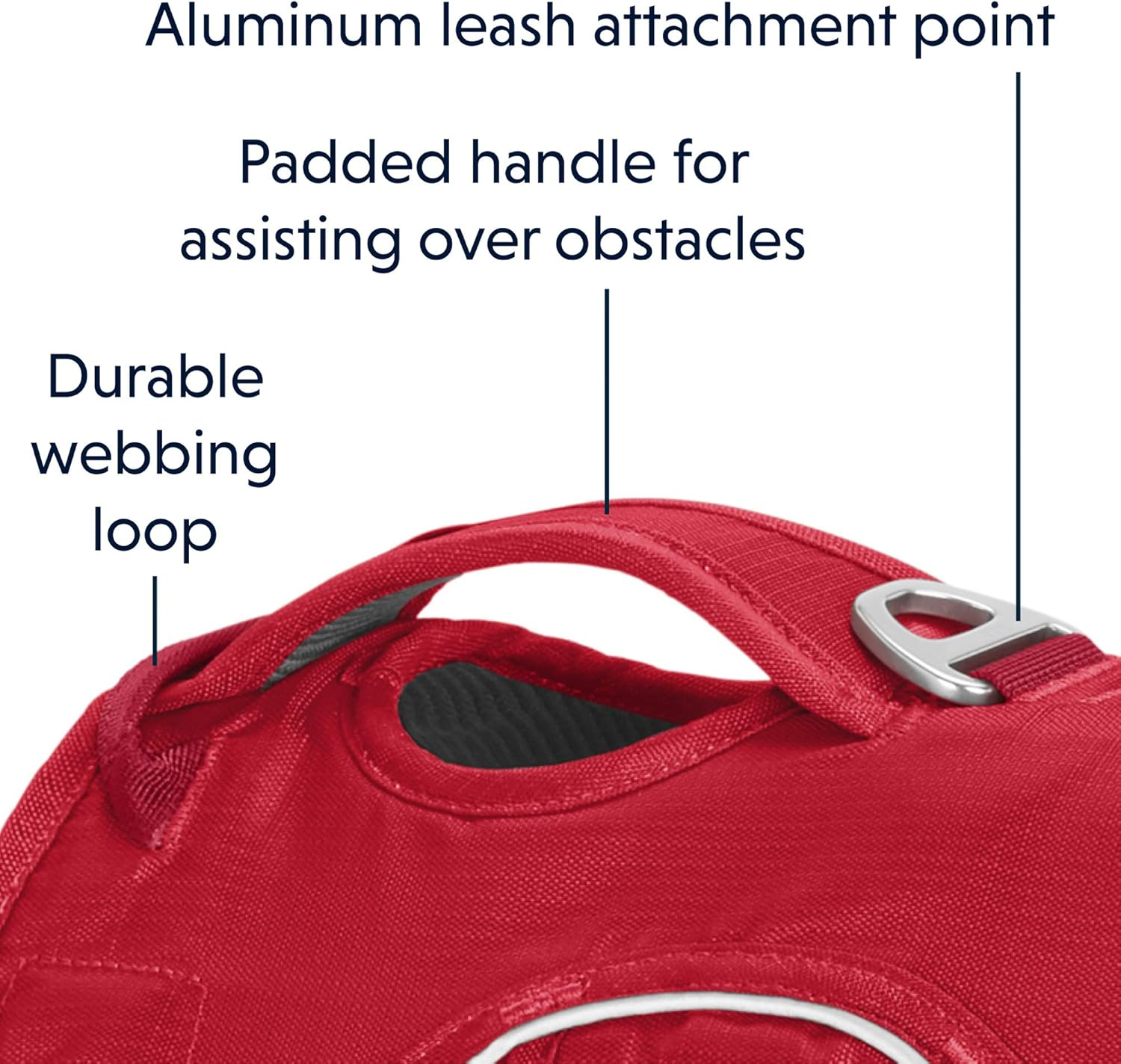 Ruffwear Web Master Dog Harness image number 2