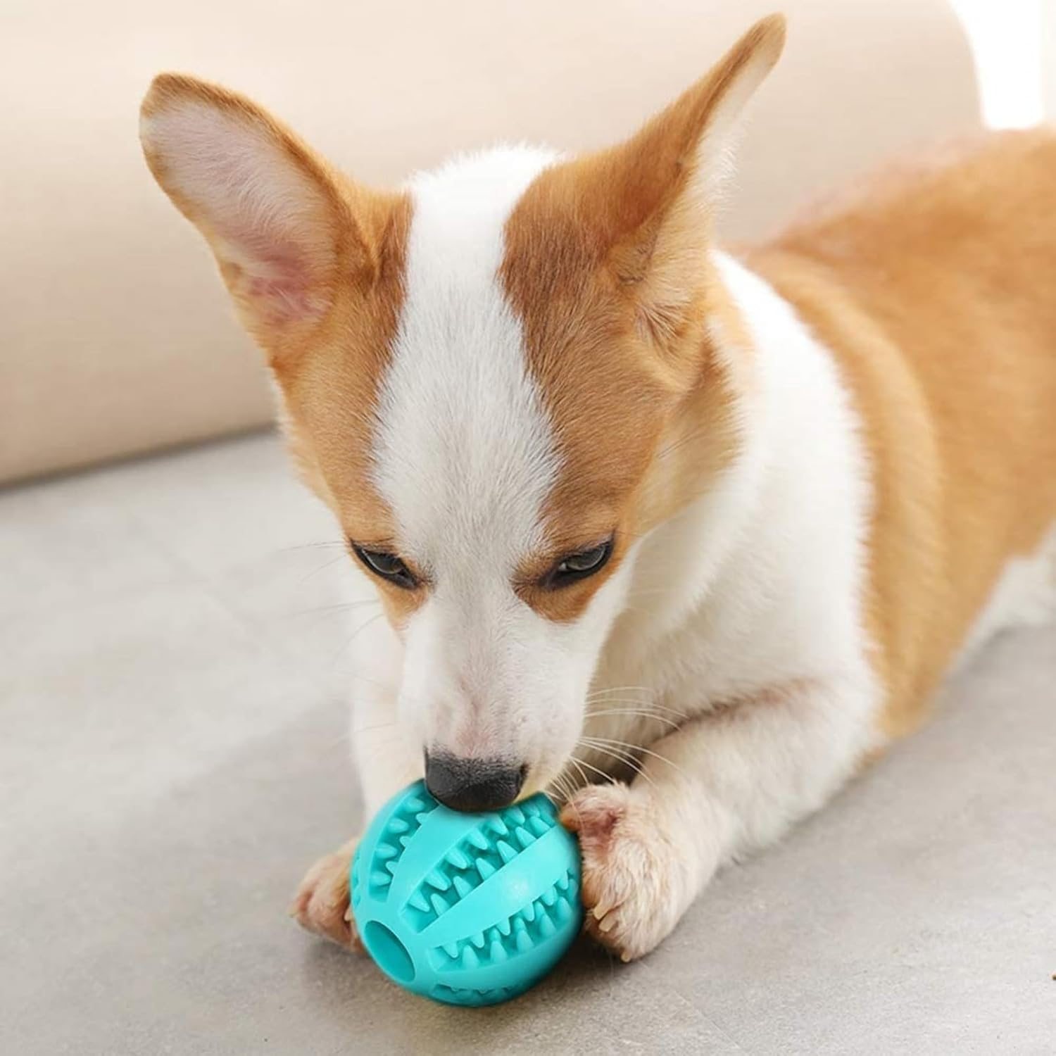 CHUANGOU Pack of 2 Dog Toy Ball, Chew Toys Made of Natural Rubber, Dog Ball with Dental Care Function, Natural Rubber Dog Feeder Ball, Bite Resistant Dog Toy image number 4