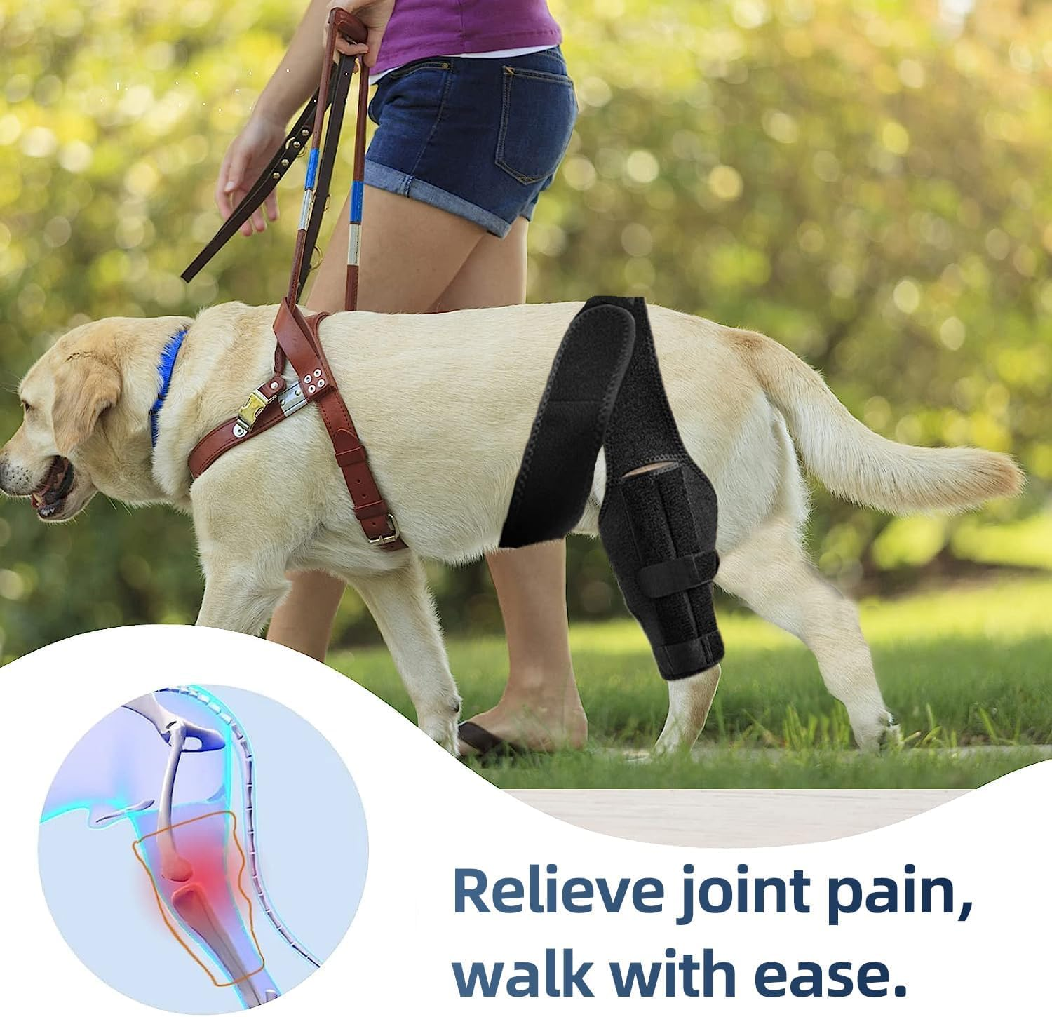 Medium Dog Knee Brace for Torn Acl Hind Leg for Support with Cruciate Ligament Injury, Better Recovery with Dog Leg Braces for Back Leg (XS, Black) image number 2