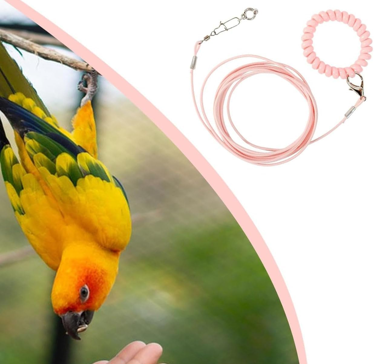 Bird Training Rope with Ankle Ring, Adjustable Harness, Biting-Resistant Toy with Ankle Foot Ring, Bird Pet Outdoor Flying Training Rope for Terrace (Pink) image number 6