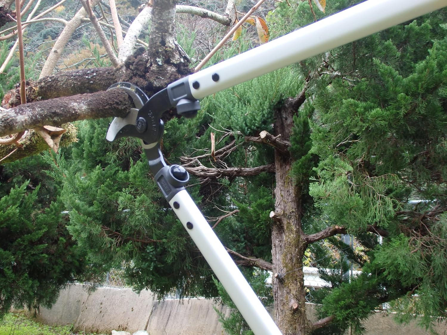 ARS LPB-30L Branch Lopper image number 2