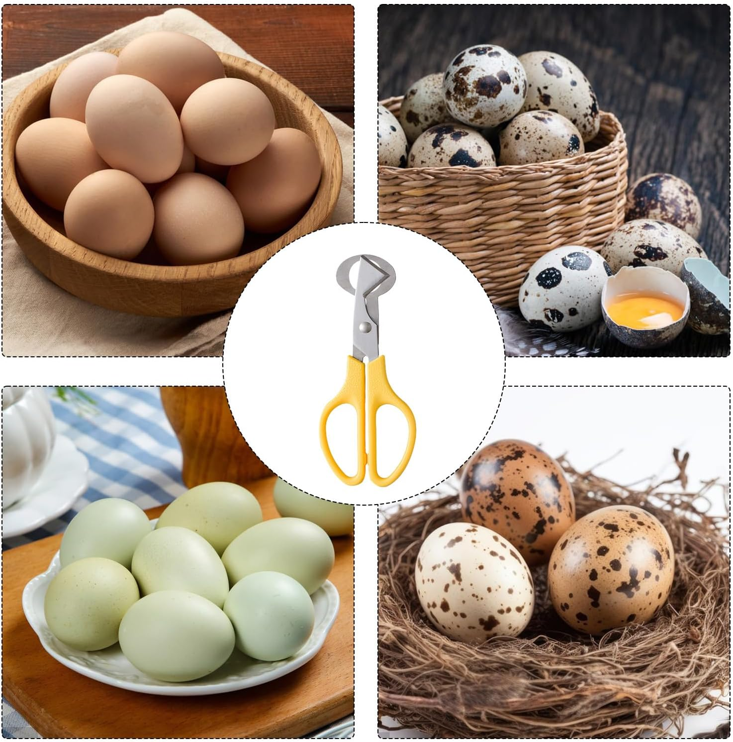 Quail Egg Shell Cutter, Quail Egg Scissors, Eggs Shells Opener, Eggs Shells Cutting Scissors, Yellow - Blue image number 3