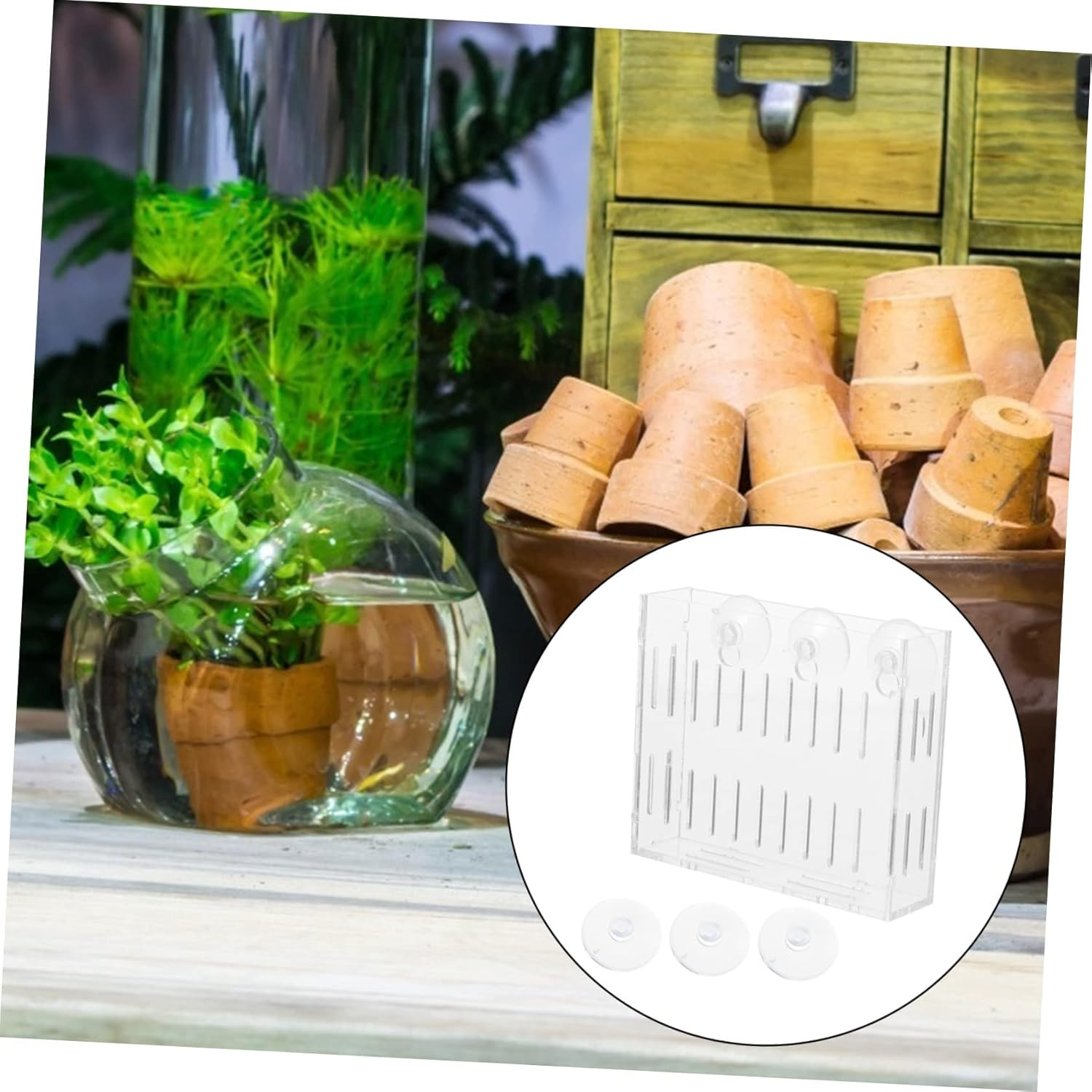 GANAZONO Acrylic Aquatic Plant Holder with Suction Cup, Large Mini Water Plant Pot for Fish Tank Landscape, Water Grass Cup Suitable for Aquarium Decoration and Aquatic Pets image number 2