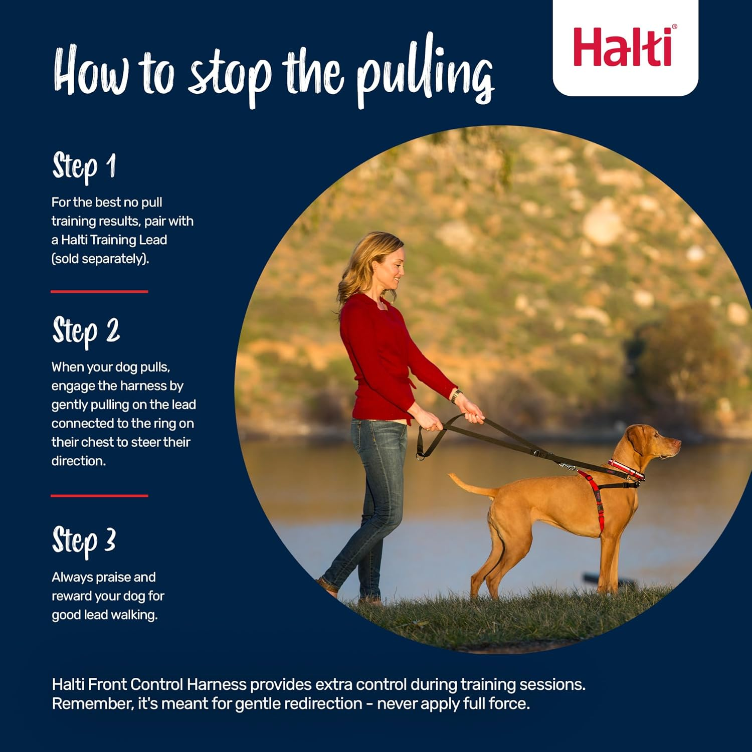 Company of Animals 42331 Halti Harness for Dogs, Medium, Black/Red image number 3