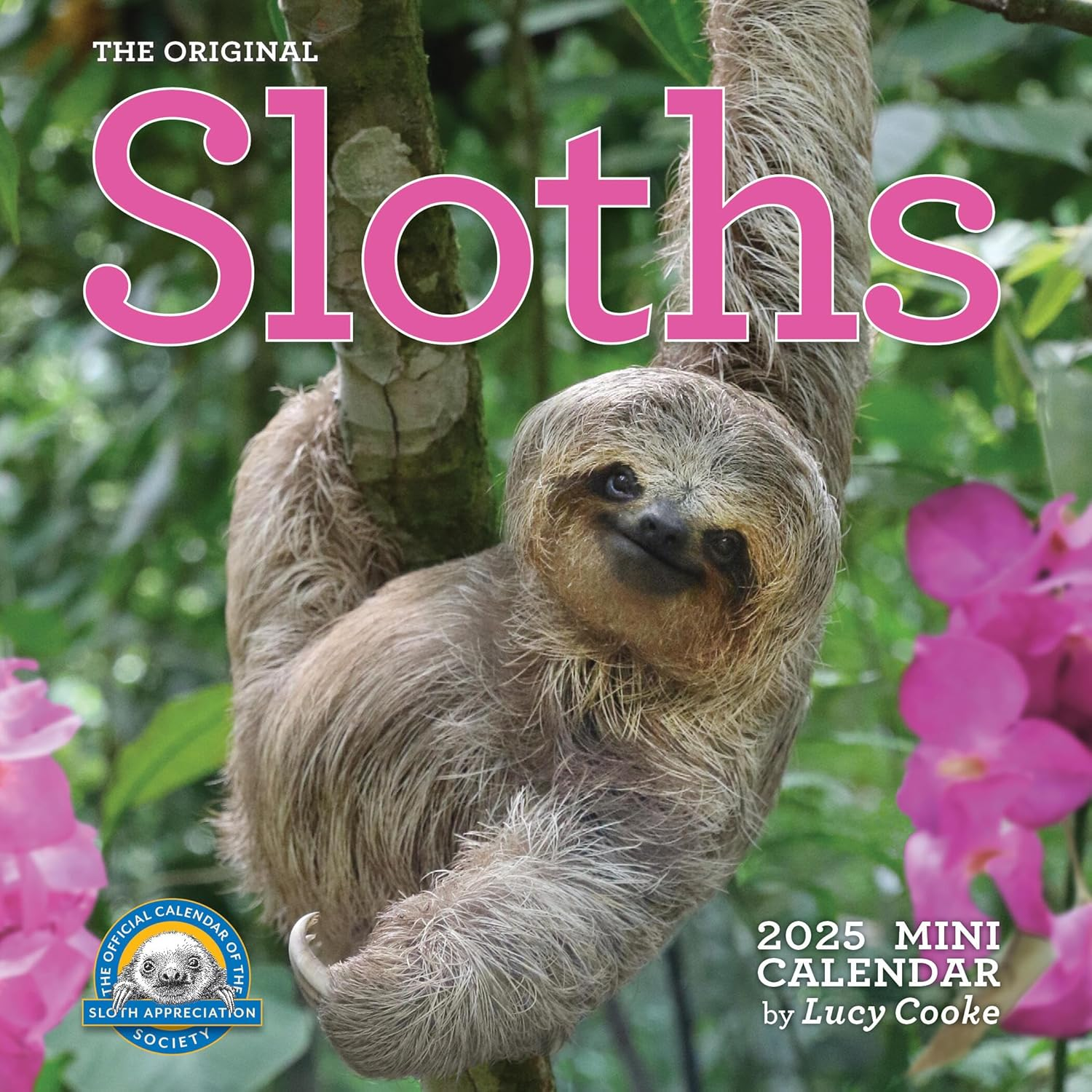 Original Sloths Mini Wall Calendar 2025: Celebrate Life in the Slow Lane image number 4