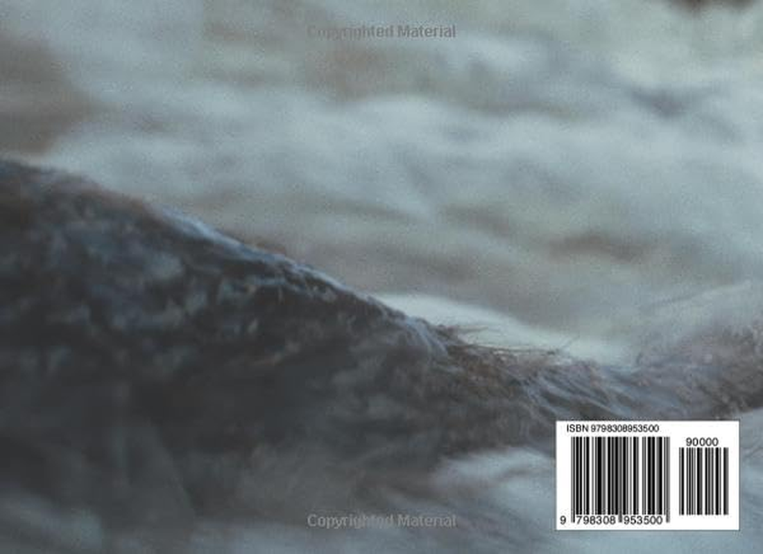 Befores & Afters - #27 - Kingdom of the Planet of the Apes