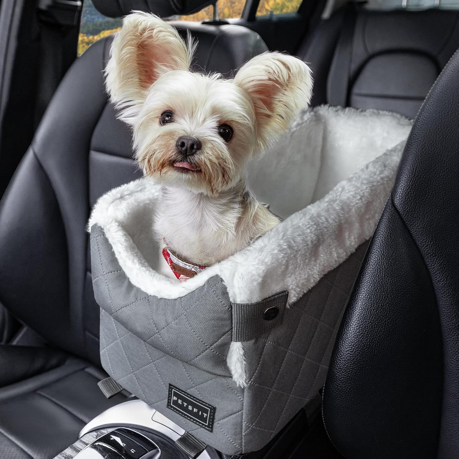 PETSFIT Center Console Dog Car Seat with Safe Protection Hooks, Upgraded Safety Tethers, Washable Cushion, Console Dog Seat for Small Dogs up to 9 Lbs
