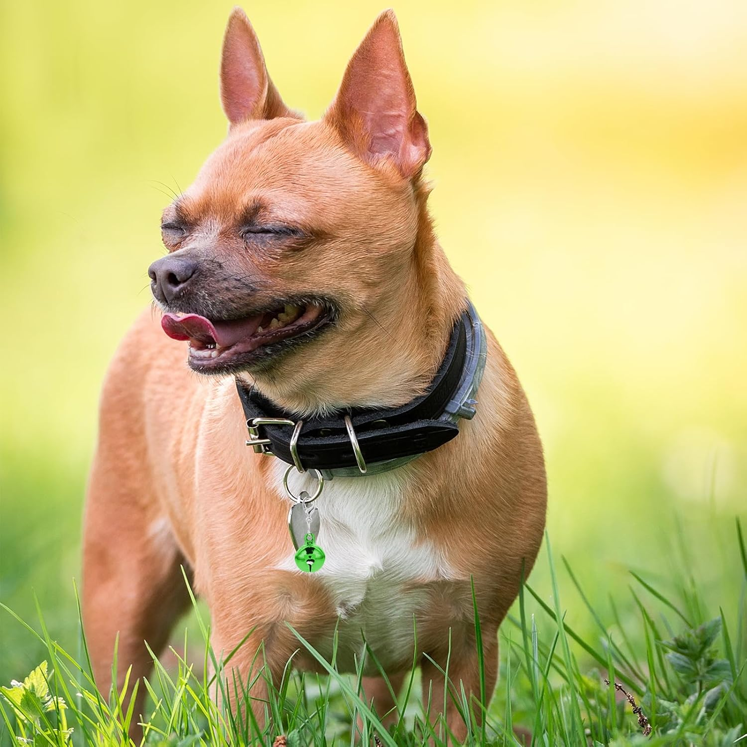 12 Pieces Cat Bell Dog Bell Dog Collar Charms Colorful Cat Collar Bell Loud Pet Collar Bells Charms Small Cat Collar Bells Charms with Clasps for Cat Dog Puppy Collers DIY Crafts Party Decorations, No image number 1