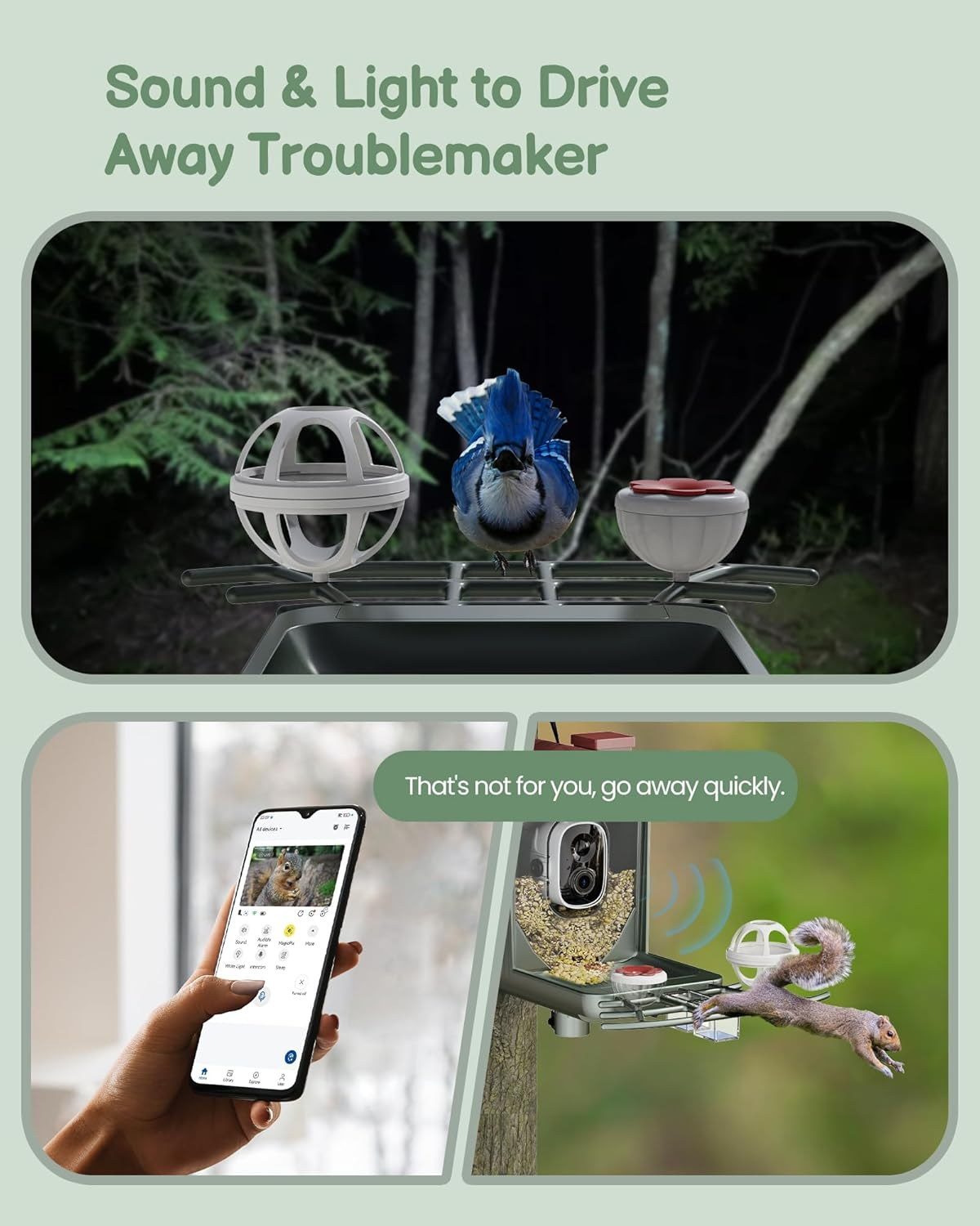 Bird Feeder with Camera Outdoor Solar: Smart Birdfeeder Cam for outside Garden - 2K HD Live Video Camera AI Recognition Visible Window Auto Capture - Bird Lover Gifts image number 4