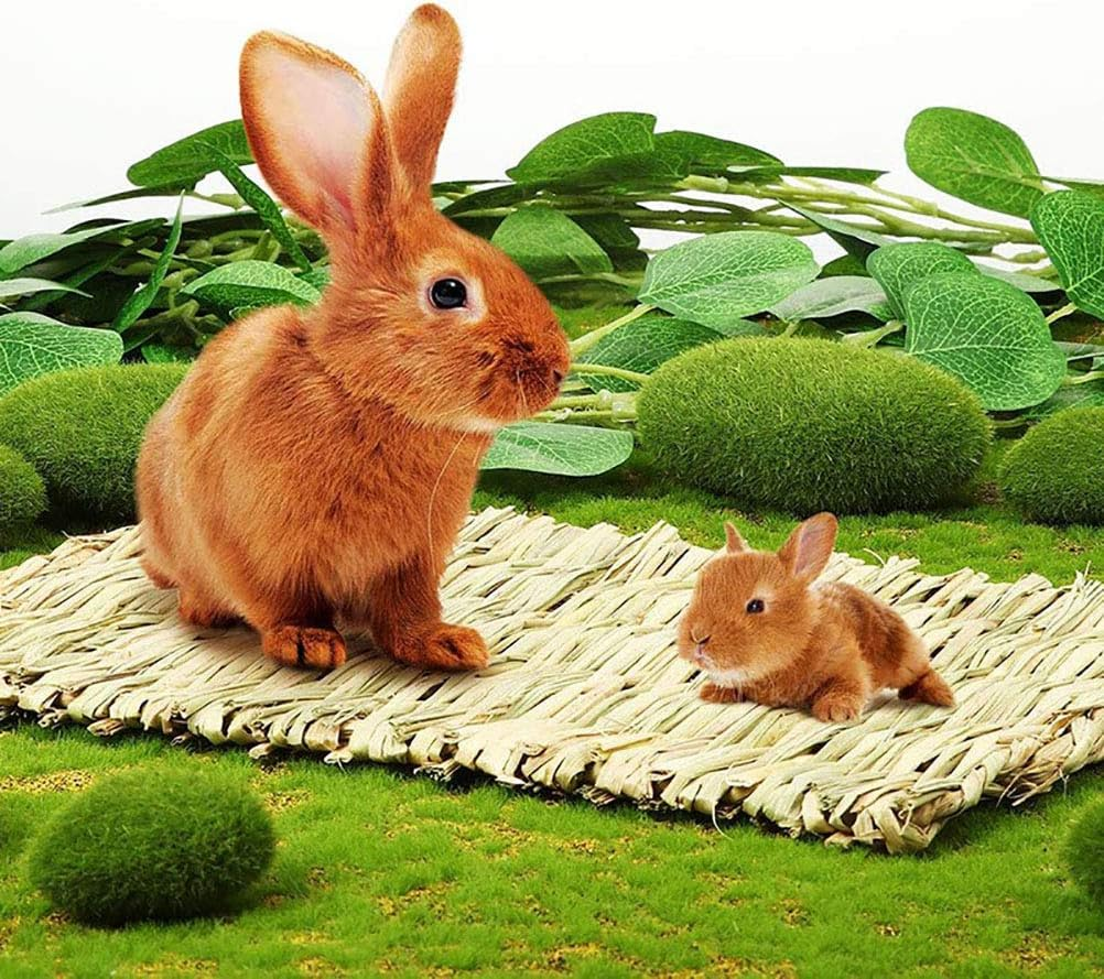 Kathson 8 PCS Bunny Grass Mat Natural Woven Pet Bed Nest Mats Rabbits Chew Toys for Hamsters Parrot Rabbits Hedgehog Guinea Pig Bunny and Other Small Animals