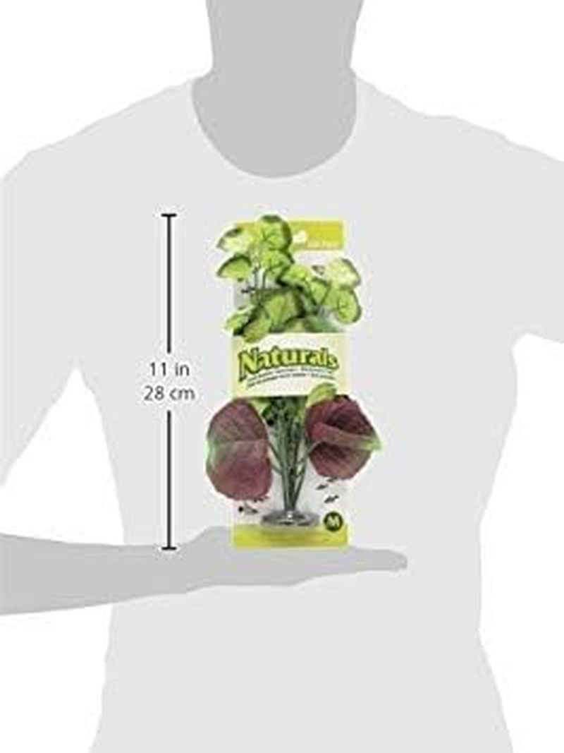 Marina Naturals, Pennywort Silk Plant, Medium Fish Tank Decoration, PP102
