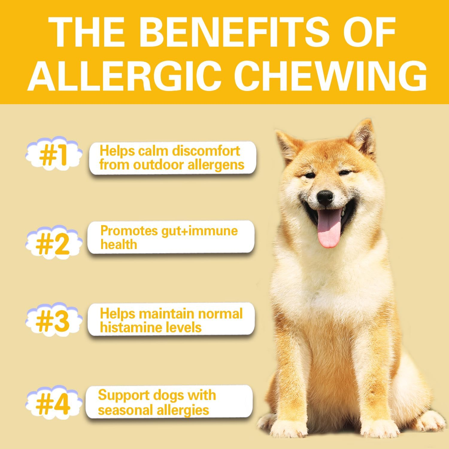 Natural Allergy Relief Chews for Dogs &ndash; Advanced Formula with Omega-3, Turmeric & Probiotics for Itchy Skin, Seasonal Allergy Support & Immune Health &ndash; Vet-Approved, Delicious Chicken Flavor