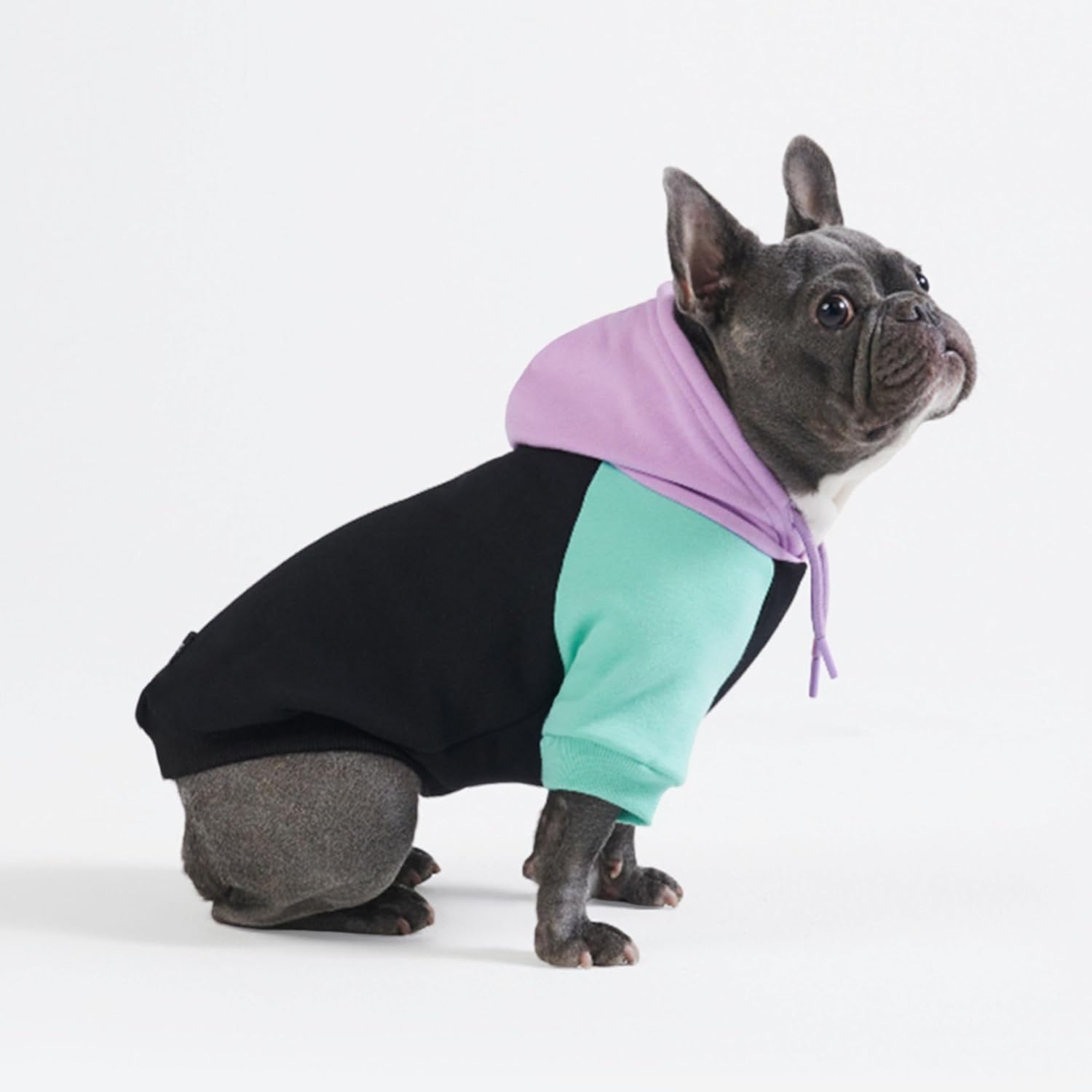 Spark Paws Dog Hoodie - Premium Quality, Buttery Soft, Superior Comfort and Fit, Calming Fleece Interior, Suitable for All Breeds - Cyber Punk - M