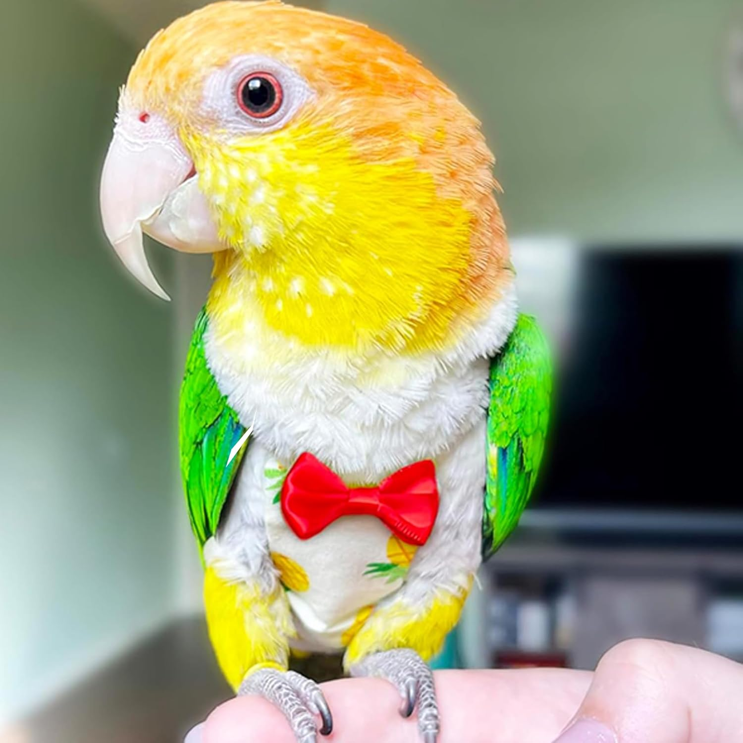 2 Pieces of Pet Bird Flight Suit Diaper,Bird Diaper,Seat Belt Elastic Bird Diaper,Reusable Cotton Elastic Shoulder Strap,Diaper Flight Kit Lining for Bird Protection (M) image number 5