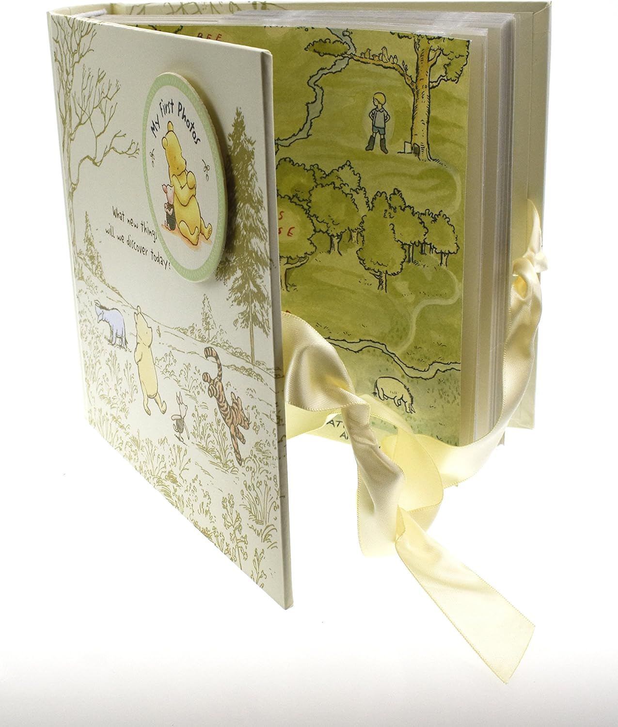 Disney Magical Beginnings Classic Pooh My First Photos Baby Album for 6 X 4 Photographs New (DI165), 200 G WBM-GFT45