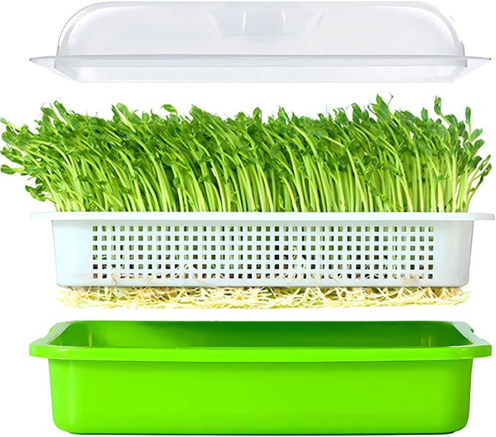 Lejoy Garden Seed Sprouter Tray BPA Free PP Soil-Free Big Capacity Healthy Wheatgrass Grower with Lid Sprouting Kit 13.4X9.84X4.72 Inches,Green image number 2
