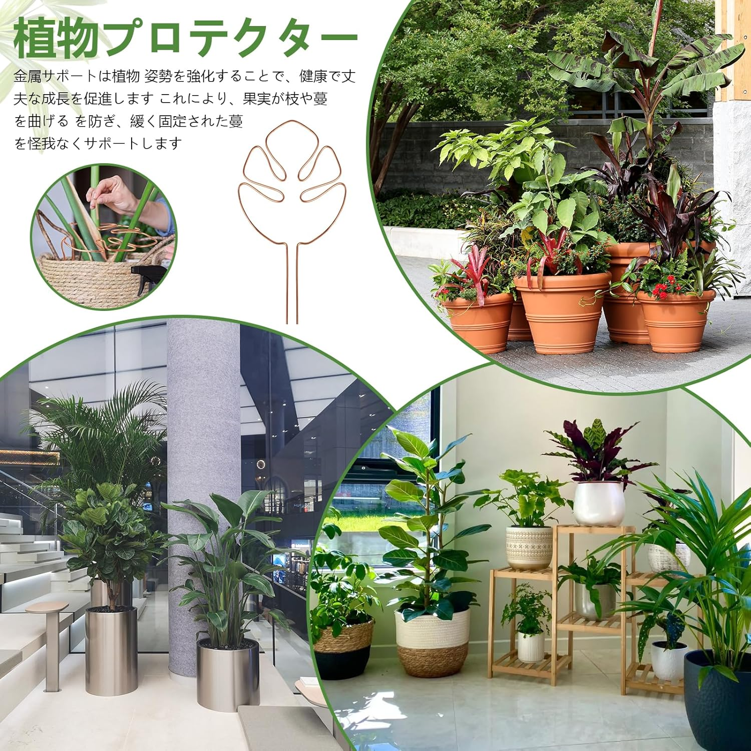 Charming Club Golden 30Cm 1PCS Plant Support for Monstera Potted Bendable Aluminum Wire Assisted Plant Growth Plant Lodging Prevention image number 4