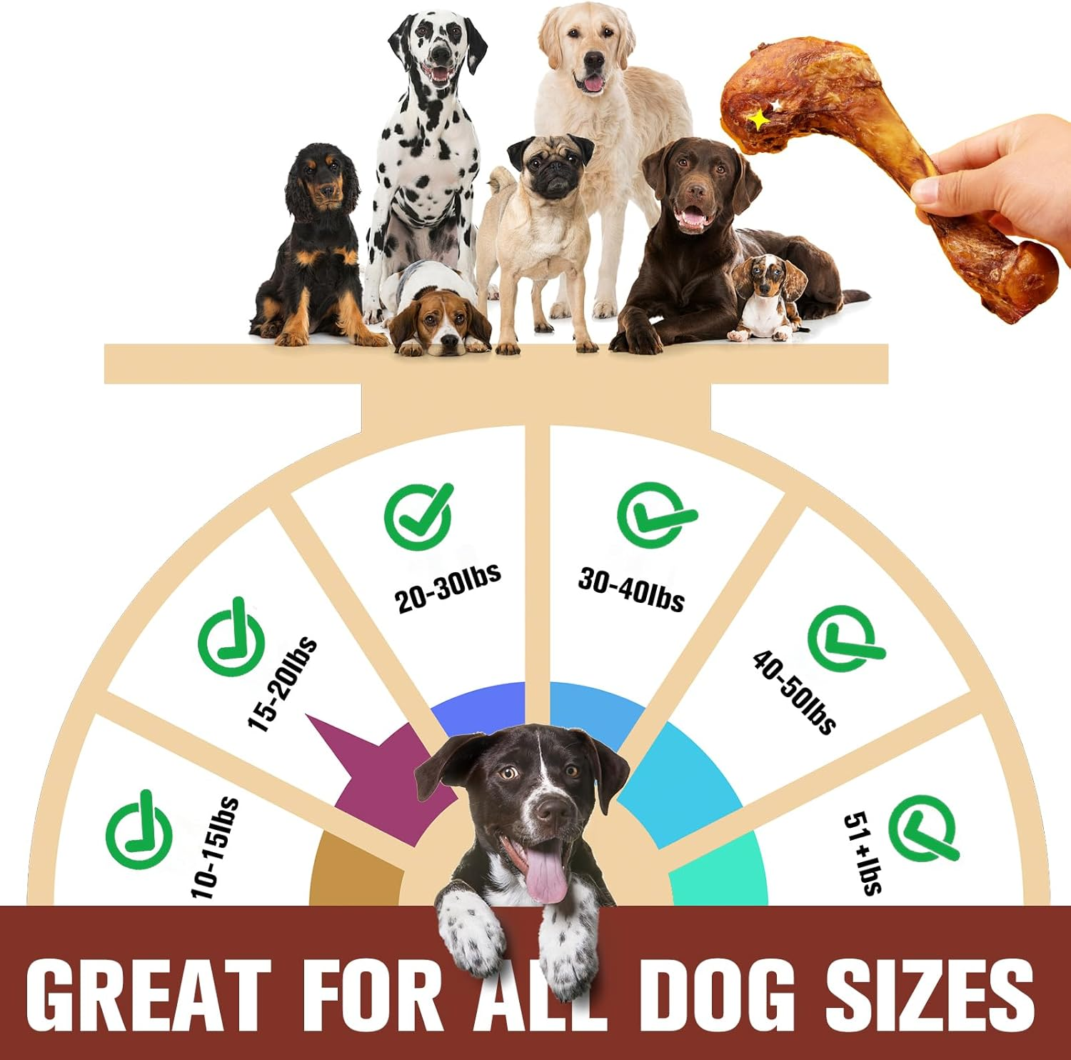 2-Pack Giant Beef Bones - Long-Lasting Chew Treats for Large Dogs | Grass-Fed Beef Bone for Heavy Chewers, Teeth-Cleaning (2PC)