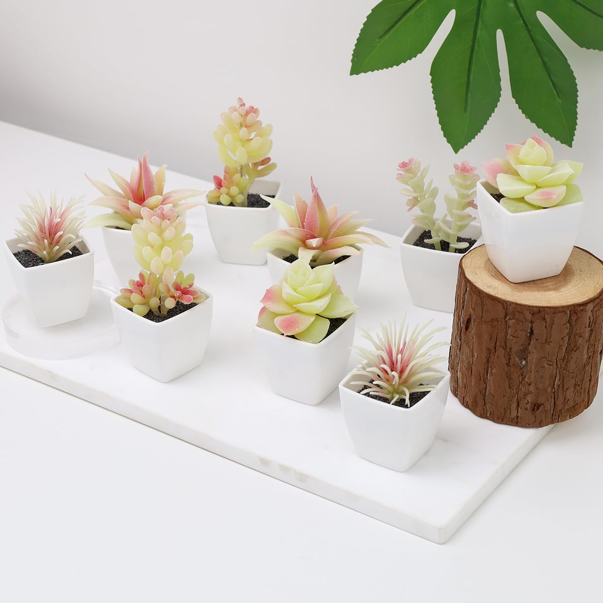 9 Pcs Artificial Succulents Plants in White Pot Small Fake Succulent Echeveria DIY Home Office Indoor Bathroom Living Room Decoration image number 3