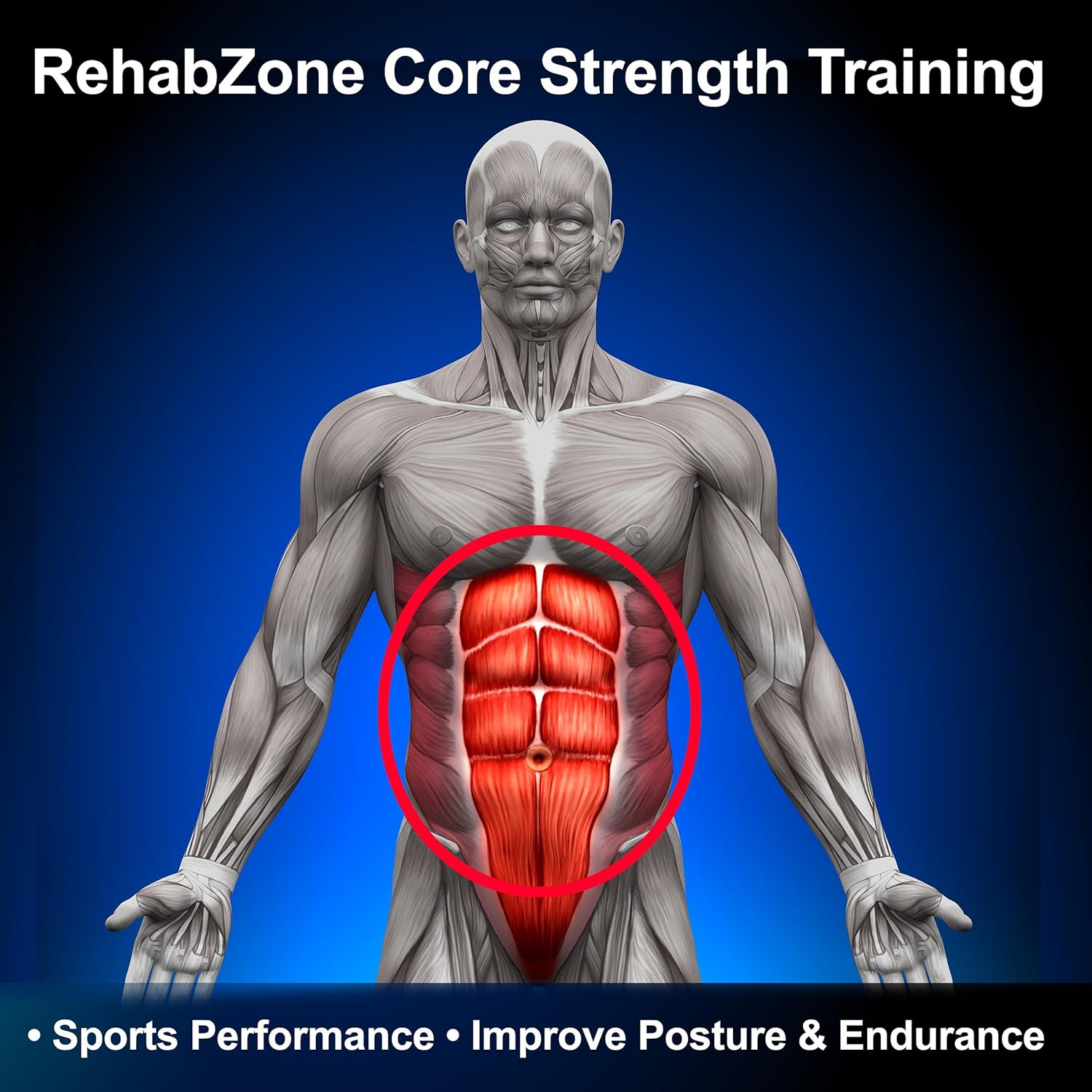 Rehabzone Core Strength Training Program: Home Exercise Program Designed to Build a Stronger Core for Sports Performance and a Better Life image number 2