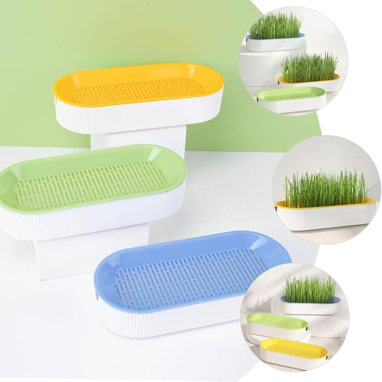 3-Pack Hydroponic Cat Grass Planter Kit - Soil-Free Wheatgrass Growing Trays for Healthy Kittens image number 6